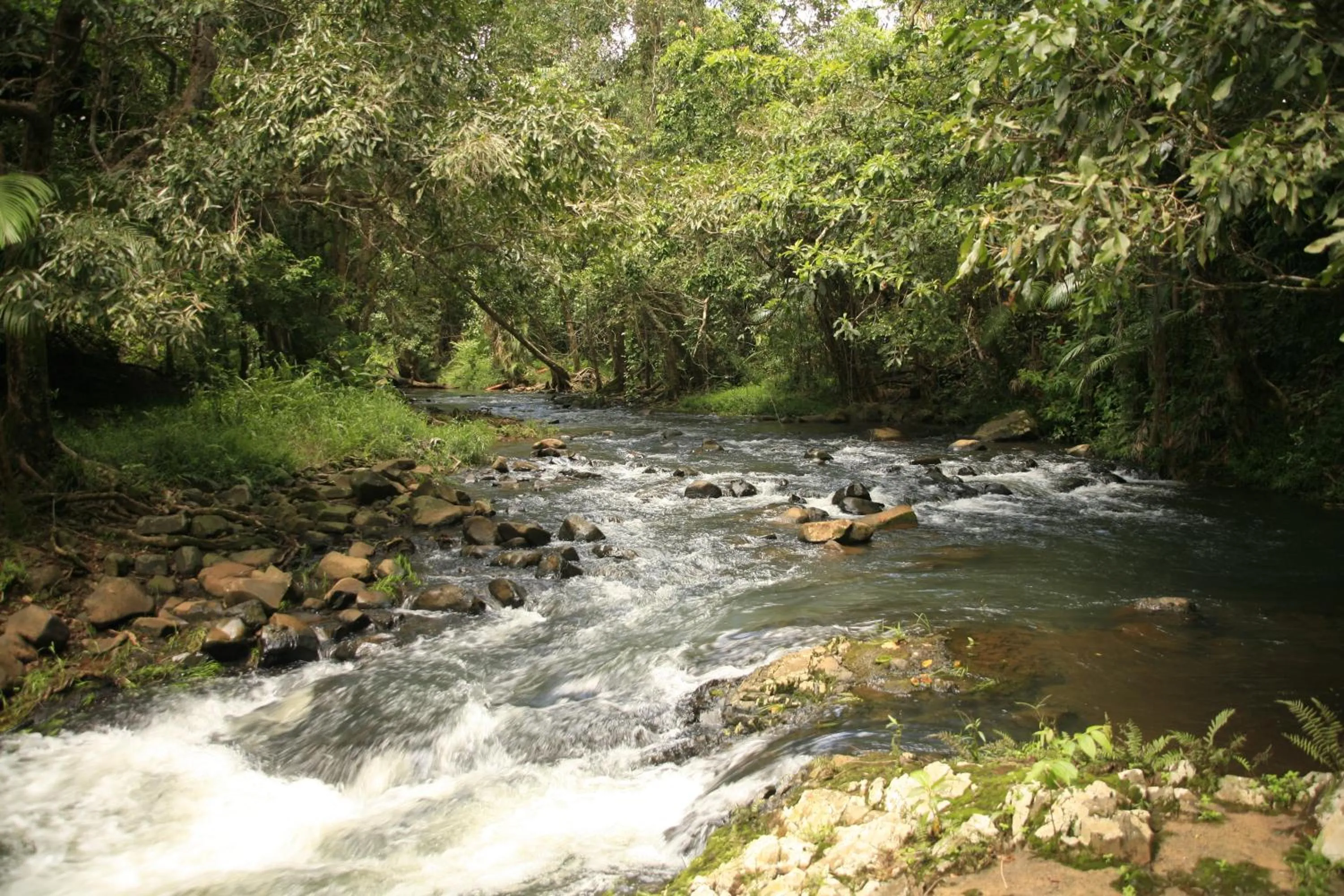 Area and facilities in Tropical Bliss bed and breakfast