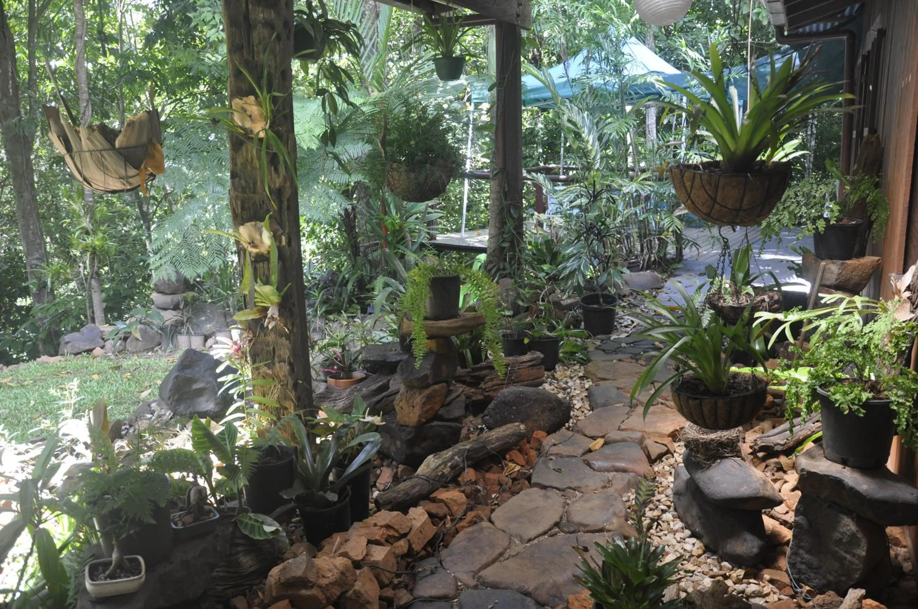 On site in Tropical Bliss bed and breakfast