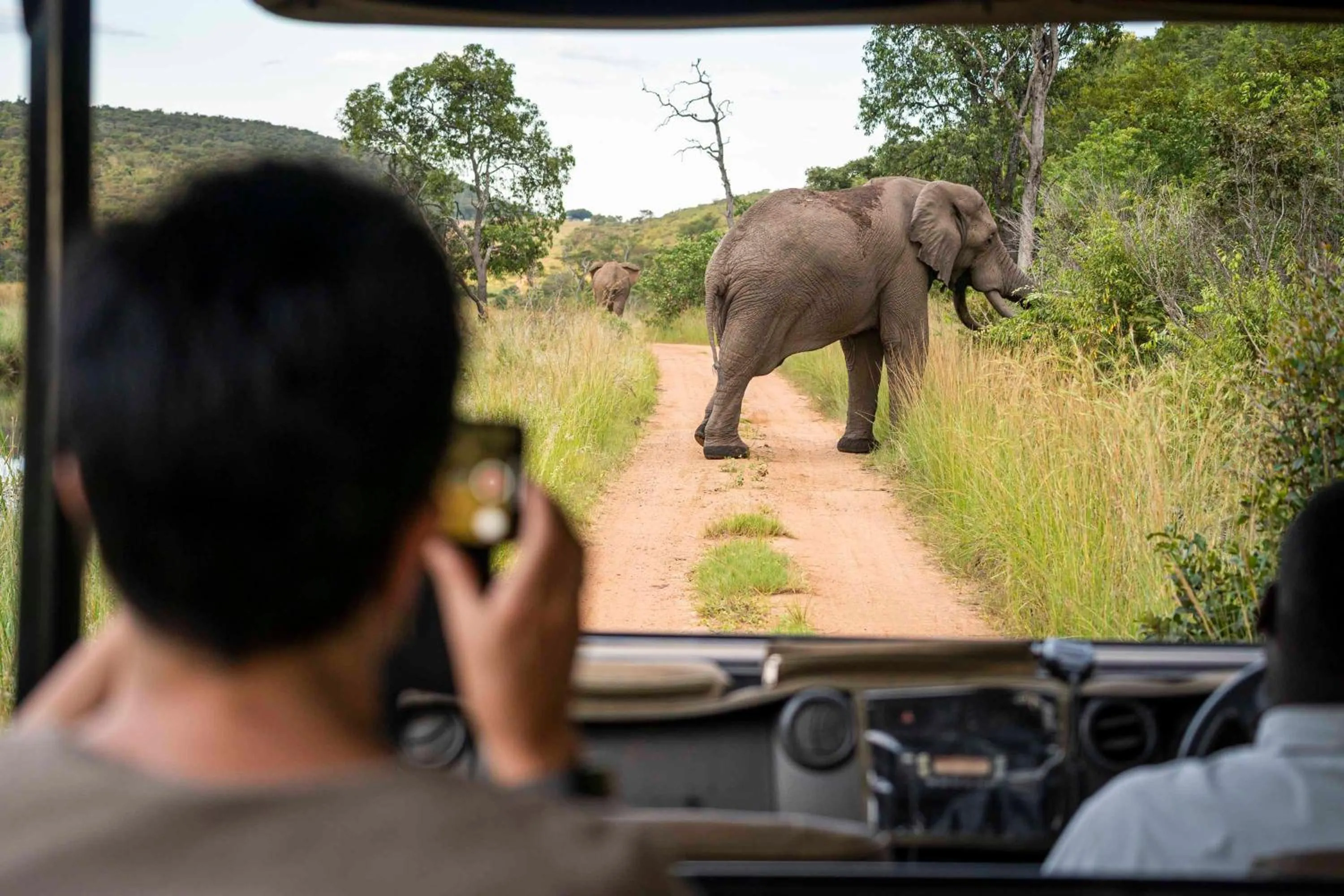 Activities in Tshwene Lodge