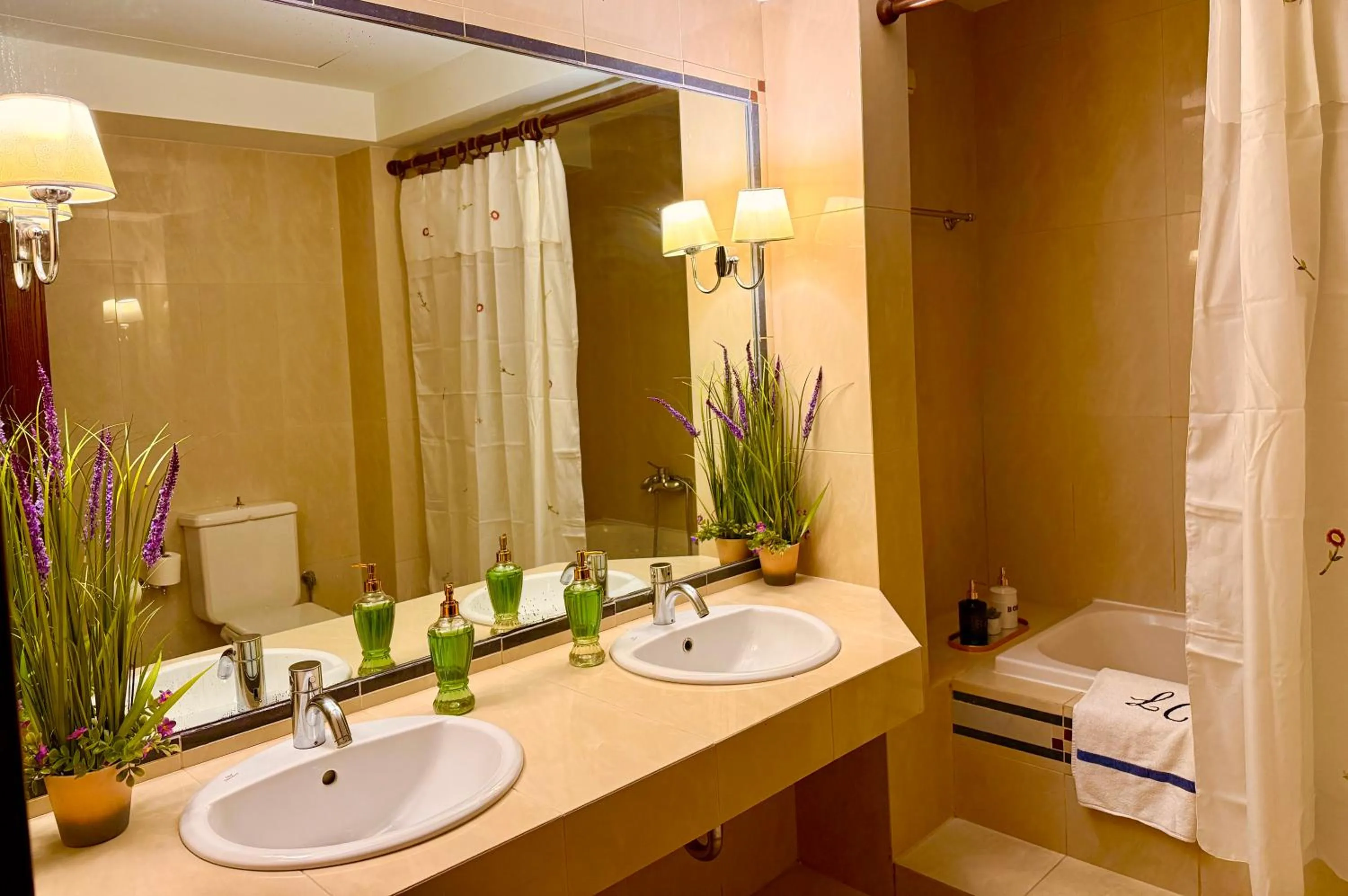 Toilet in Great Greece Le Convivial Suites