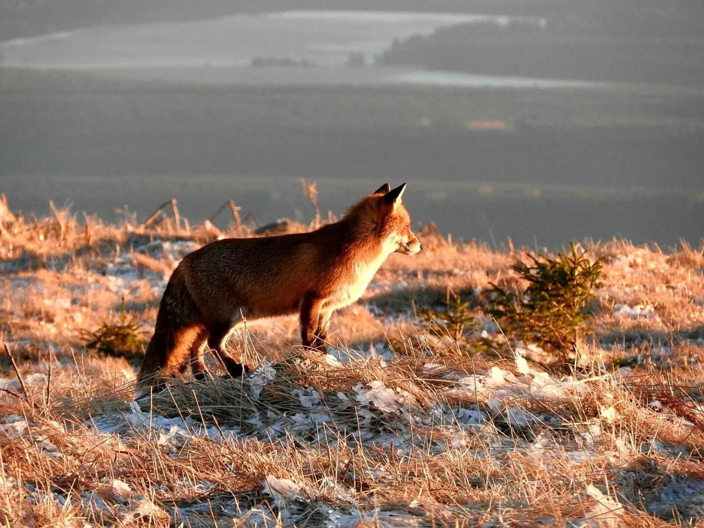 Other in Hotel Waldmühle