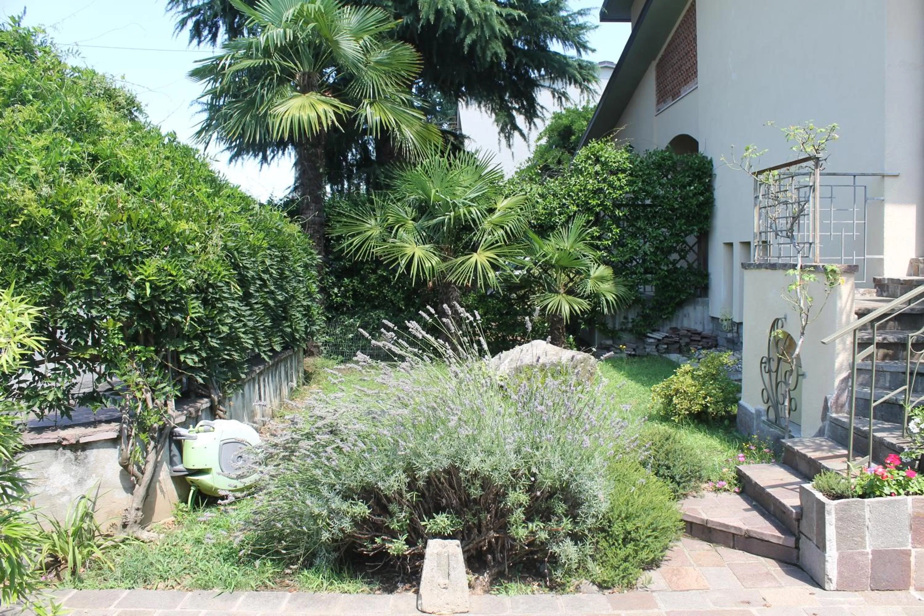 Garden in B&B Artistic House