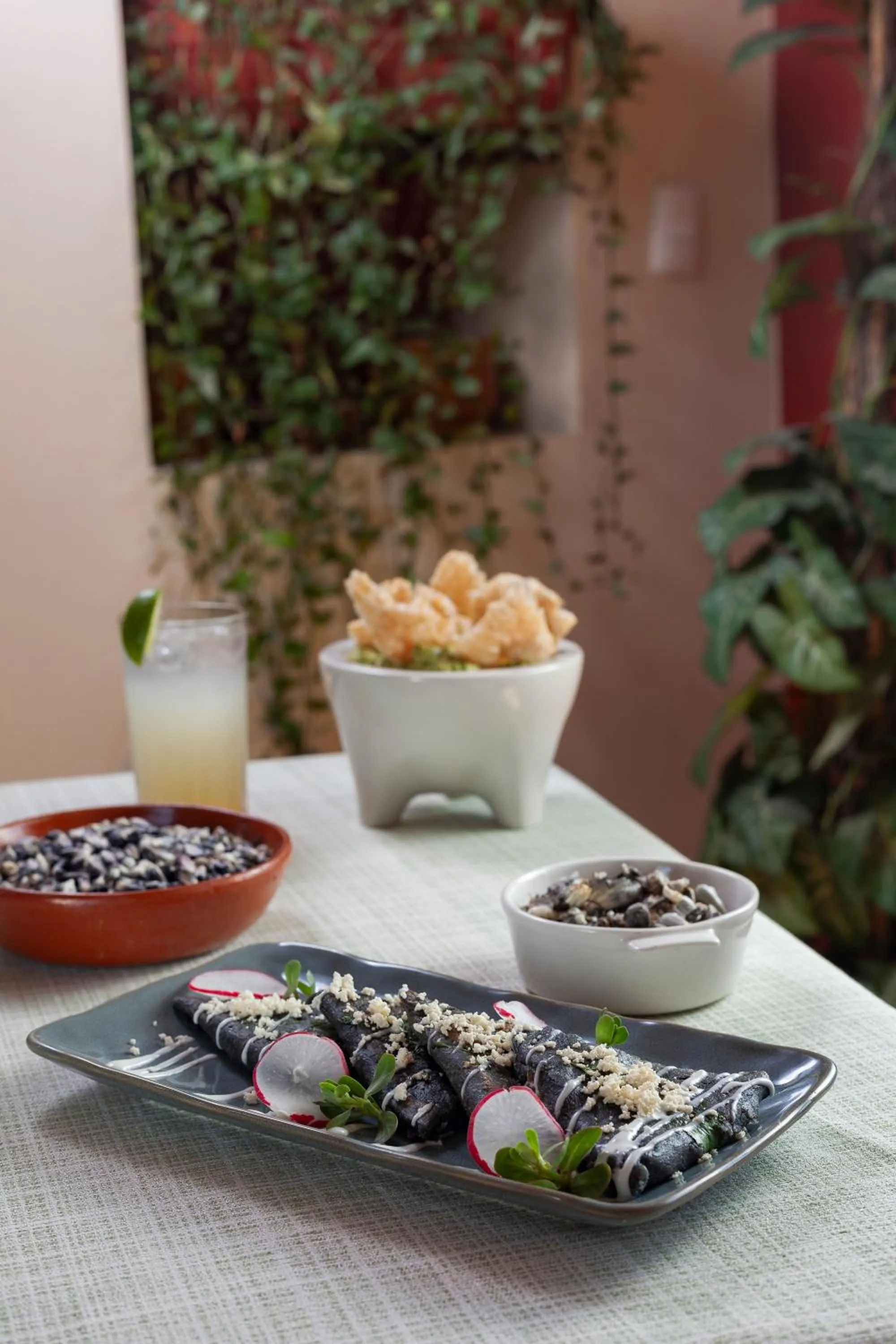 Hotel Plaza San Carlos