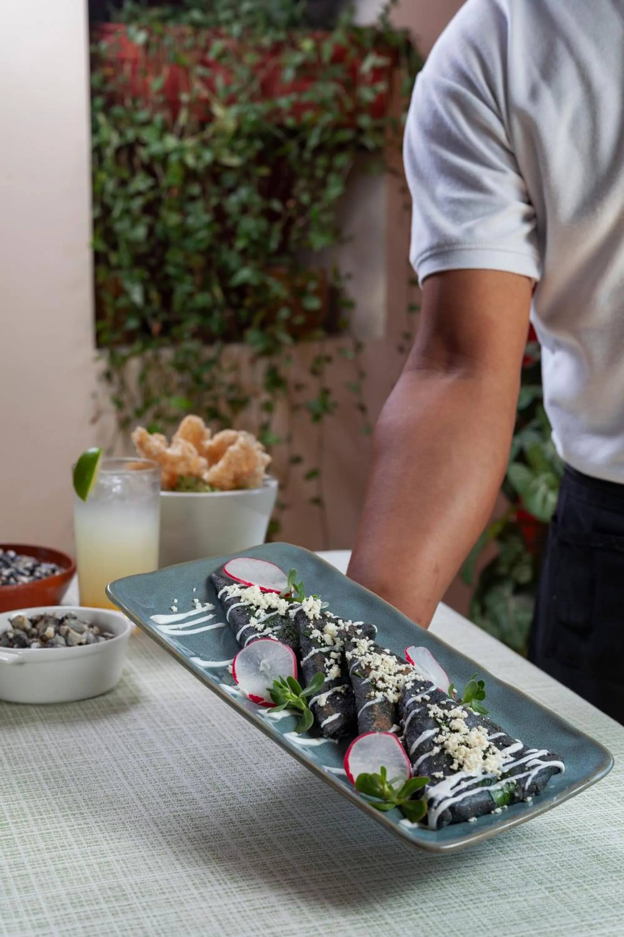 Hotel Plaza San Carlos