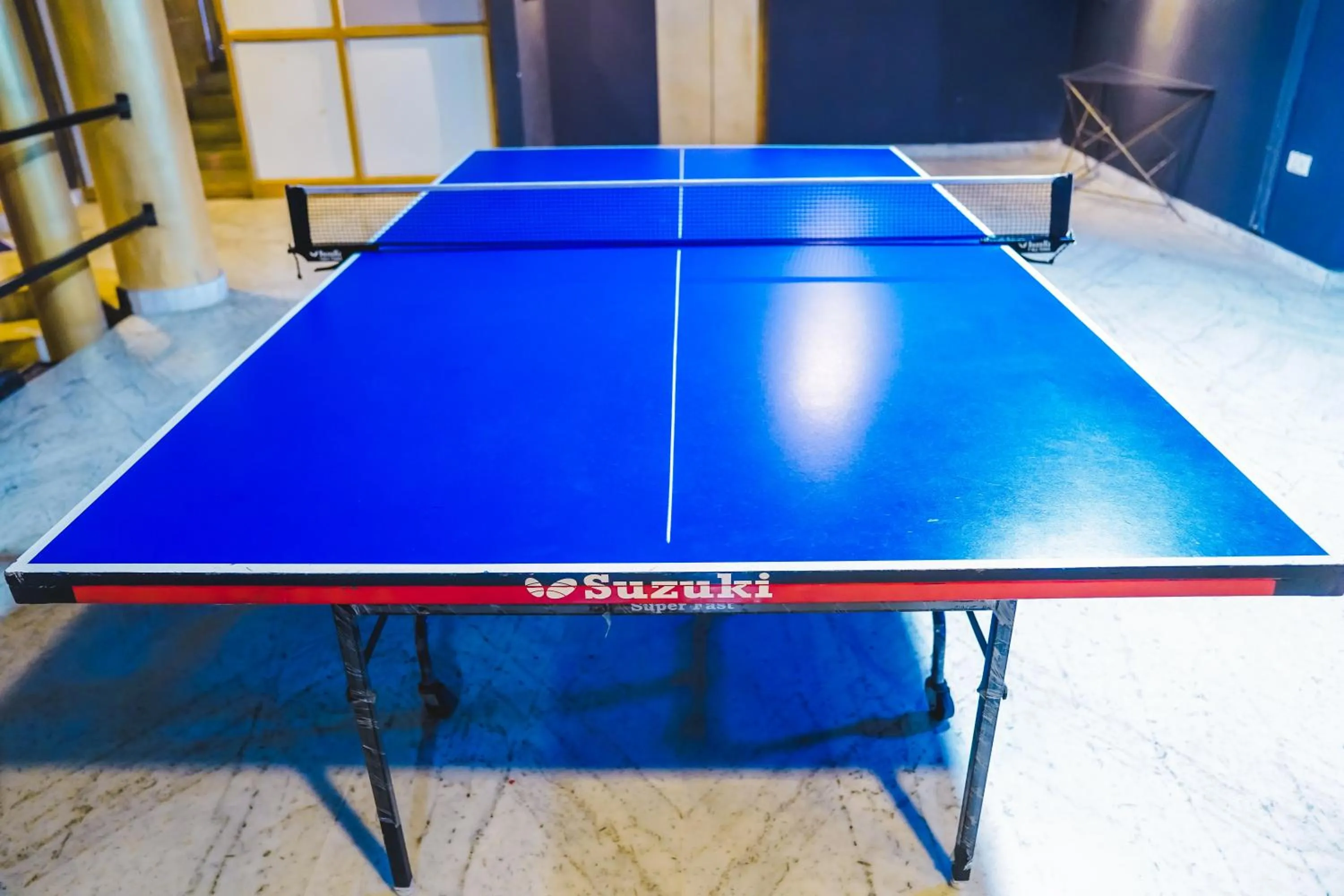 Game Room in Hotel Dodas Palace