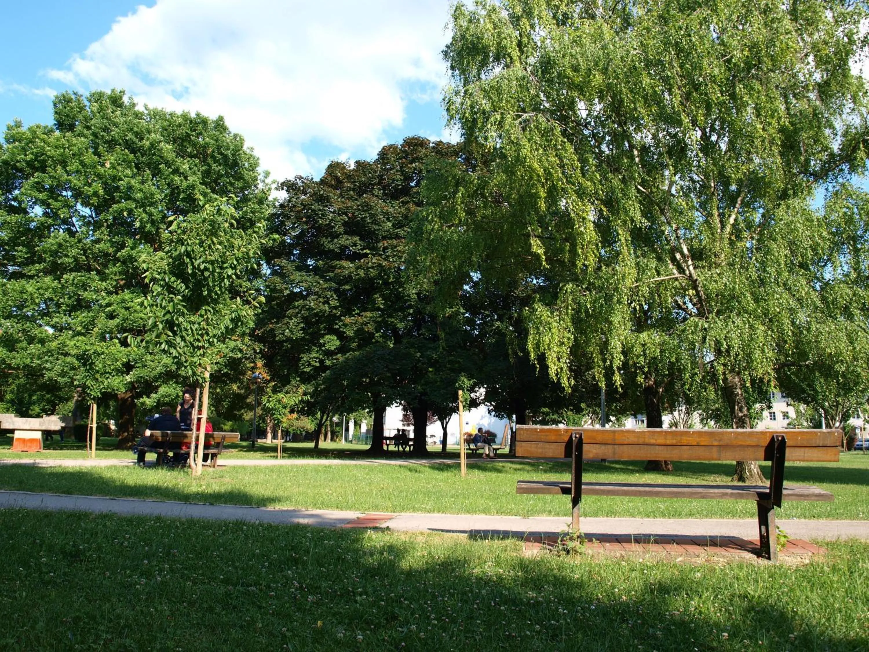 People in Apartment Witty Please