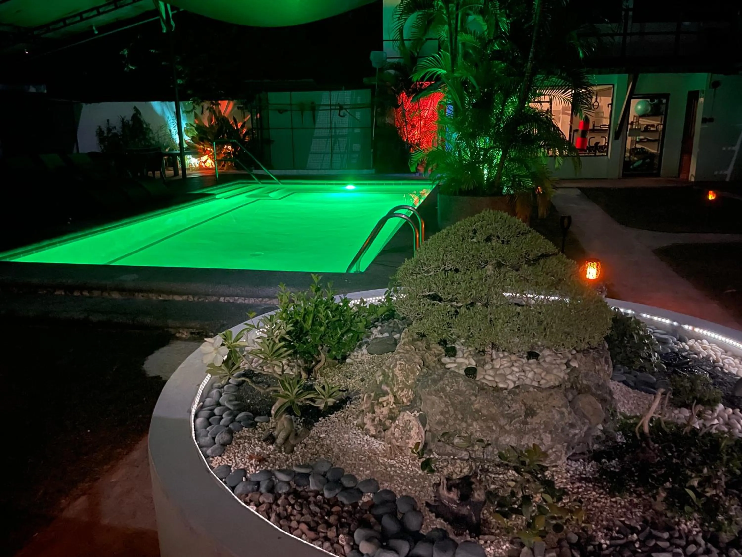 Night in Parrot Resort Moalboal