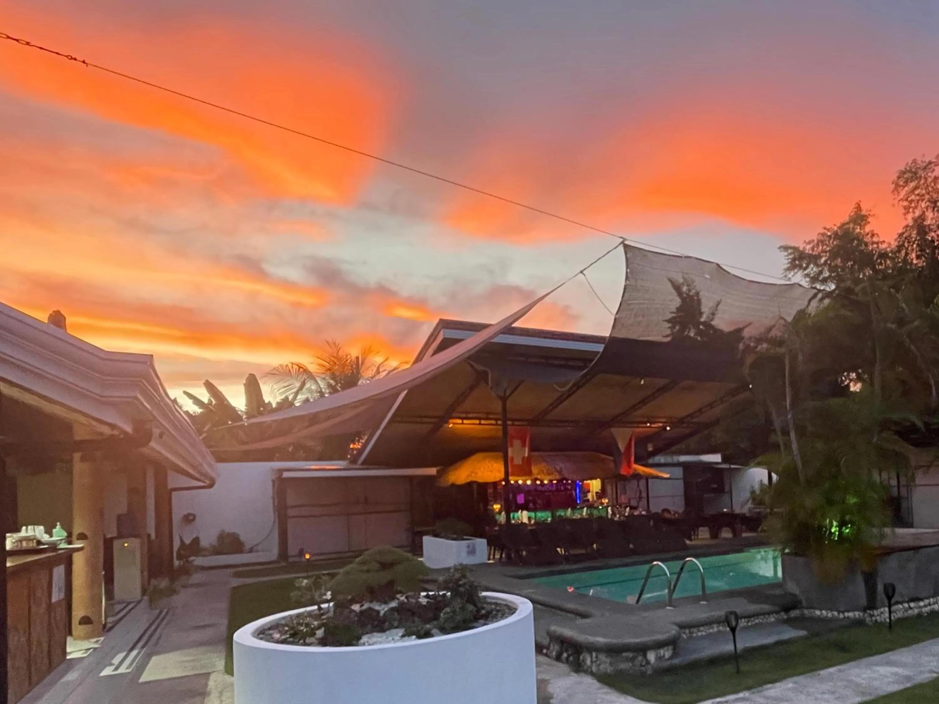 Day in Parrot Resort Moalboal