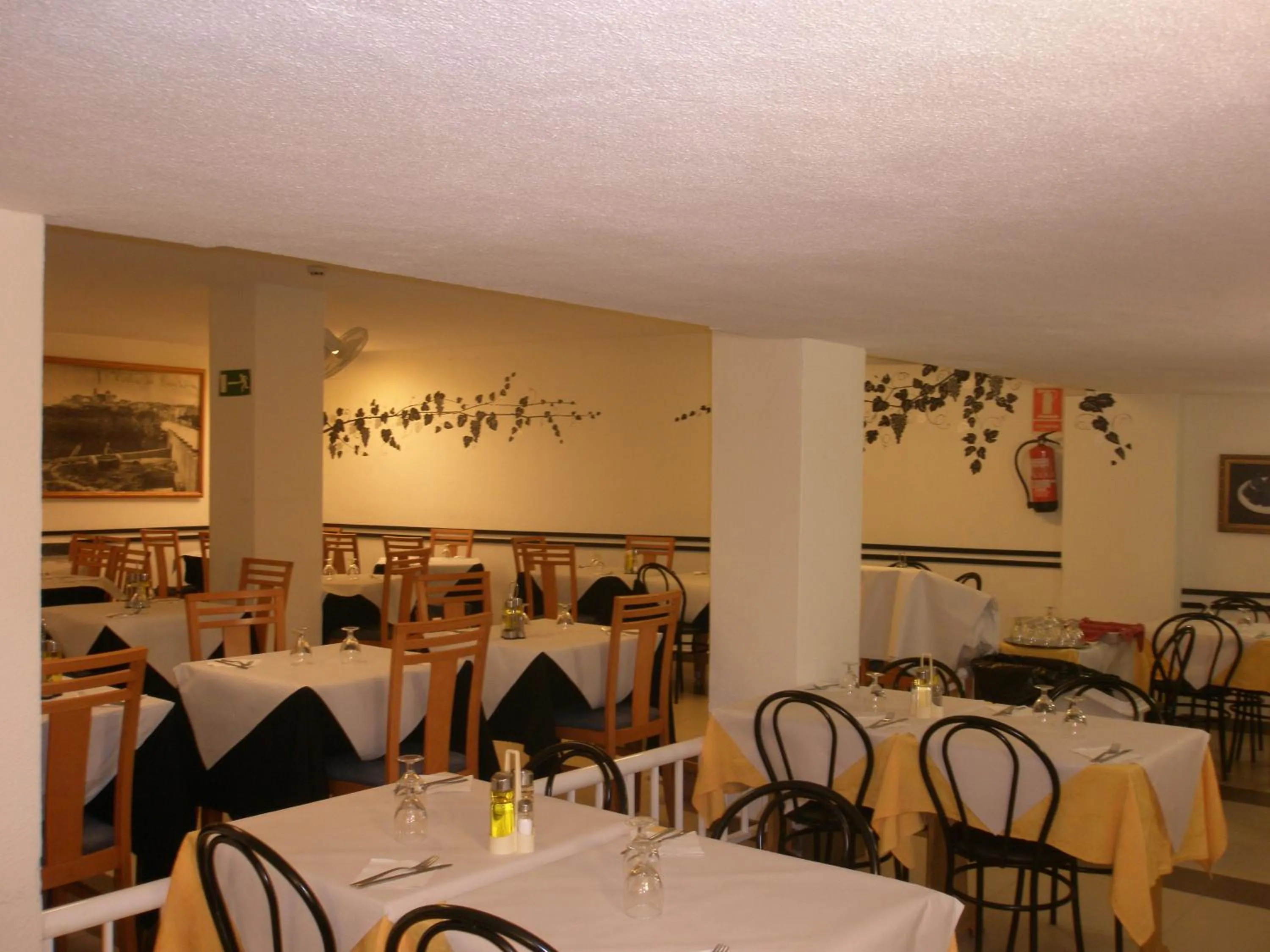 Restaurant/places to eat in Hotel Mayna