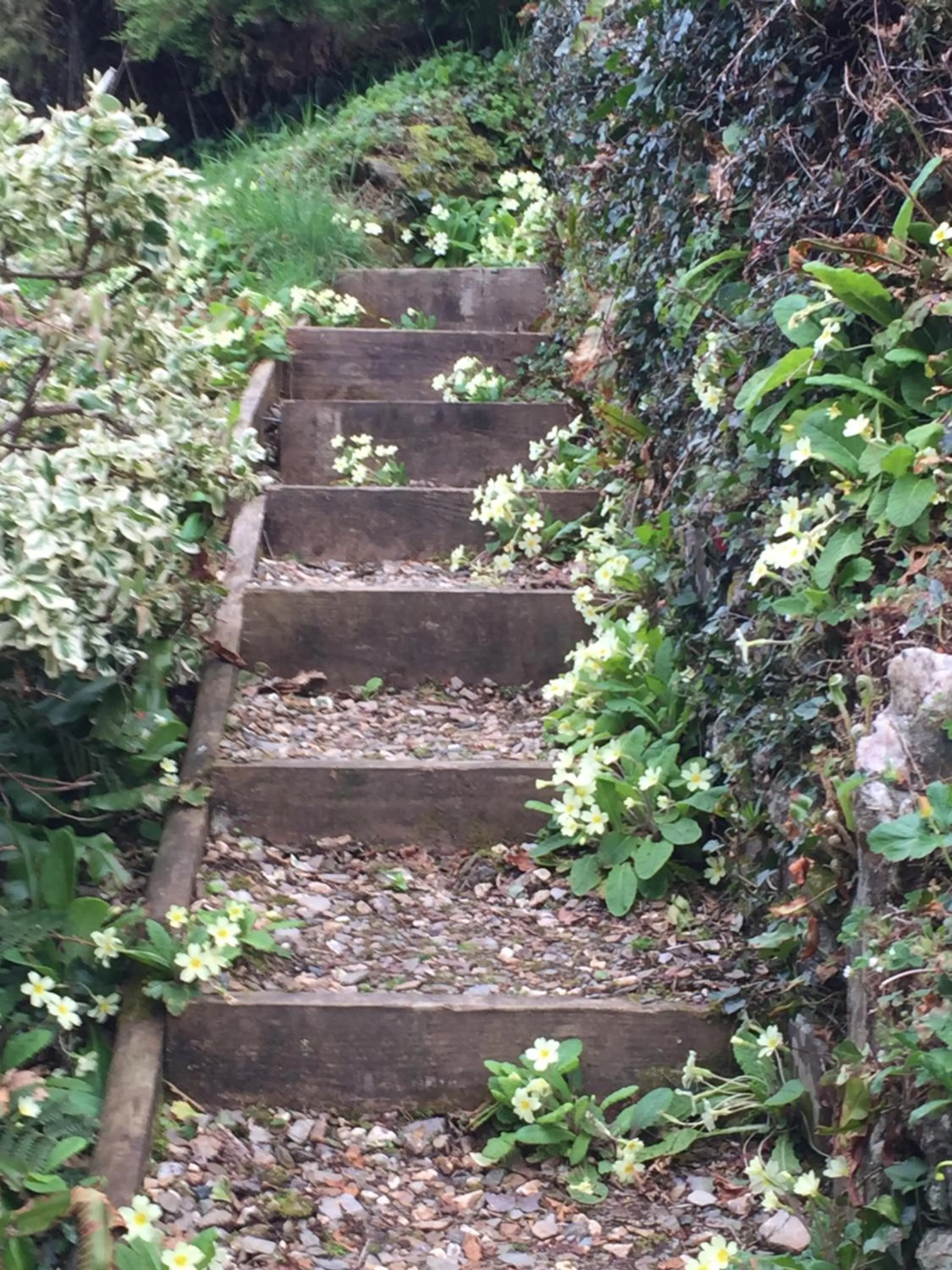 Garden in Westwaterhead