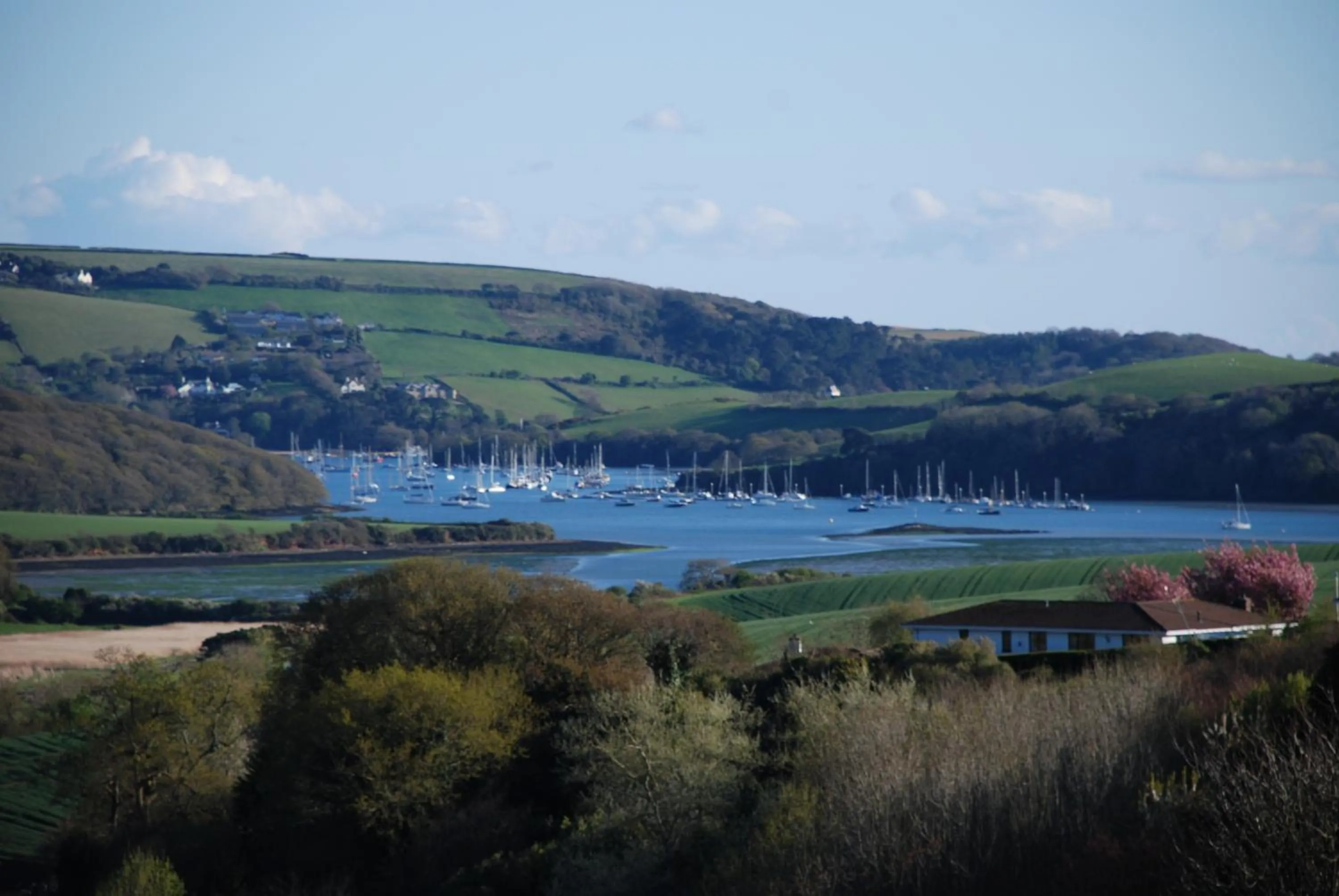 Natural landscape in Westwaterhead