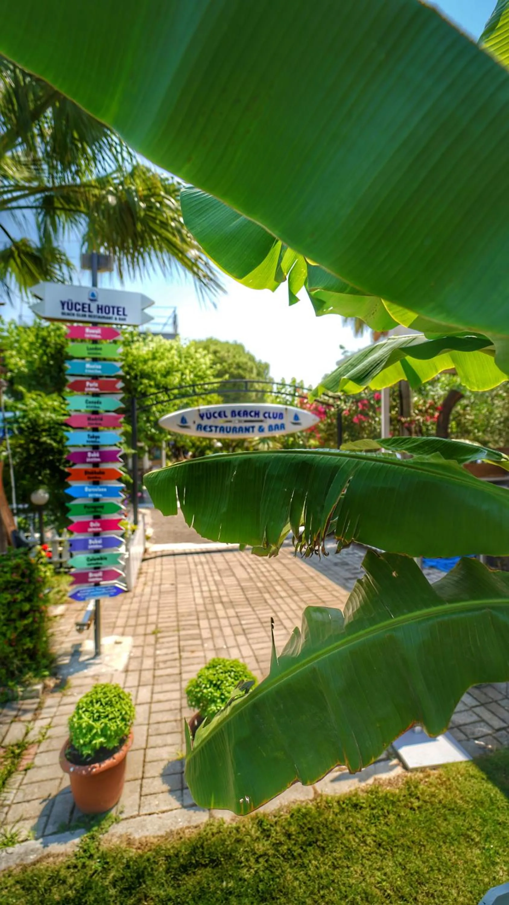 Garden view in Yücel Hotel