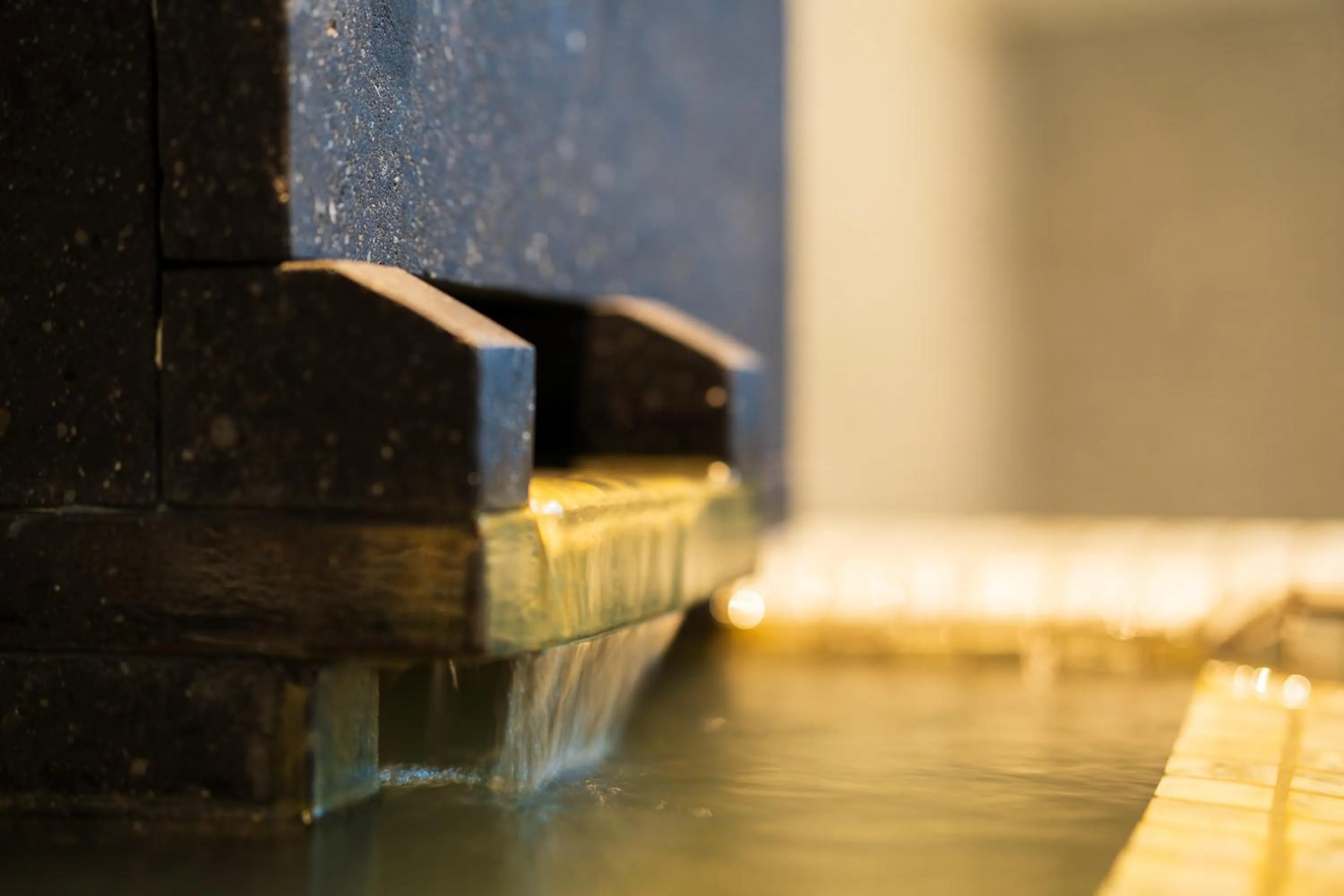 Hot Spring Bath in Hotel Meguri