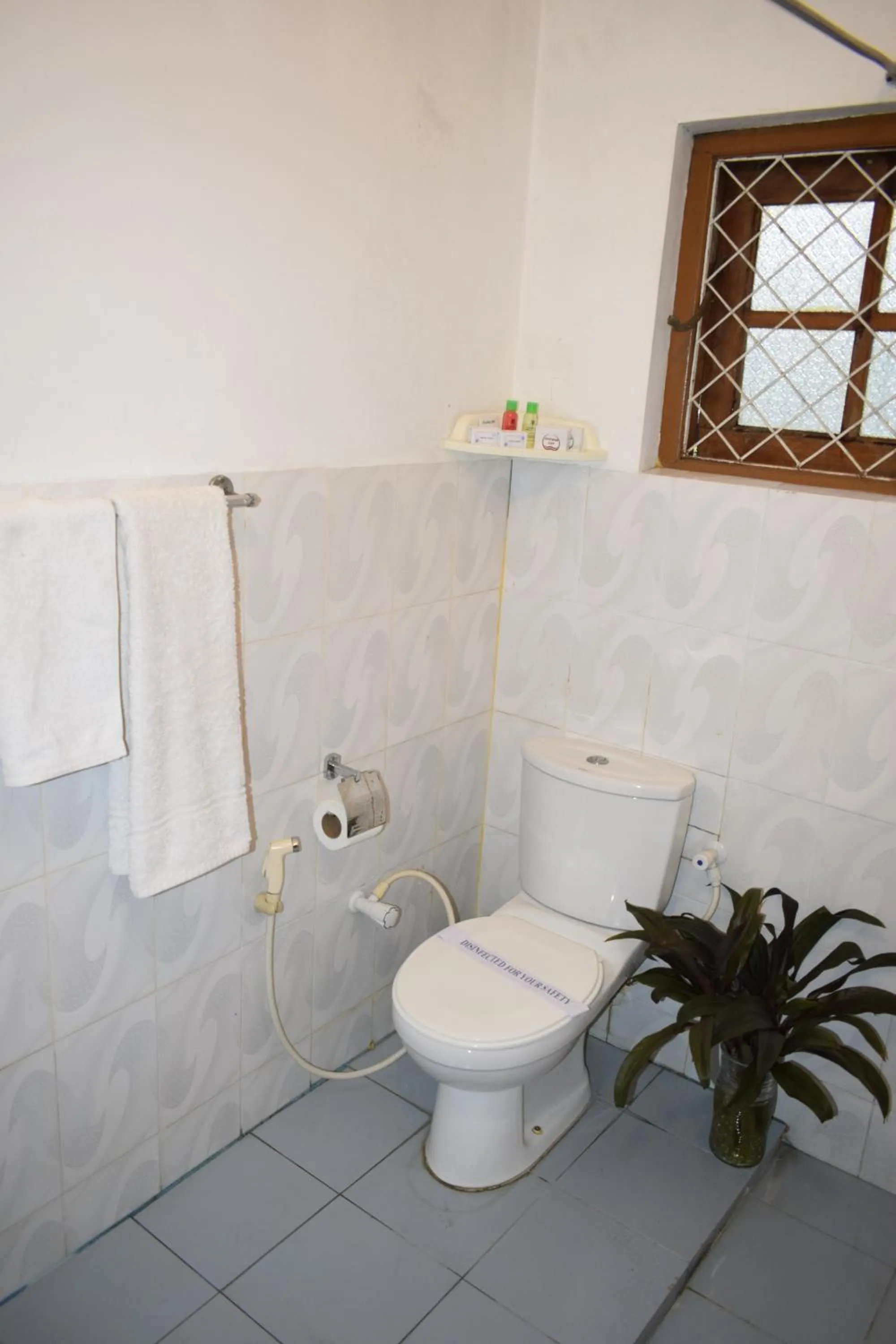 Toilet in Paradise Inn