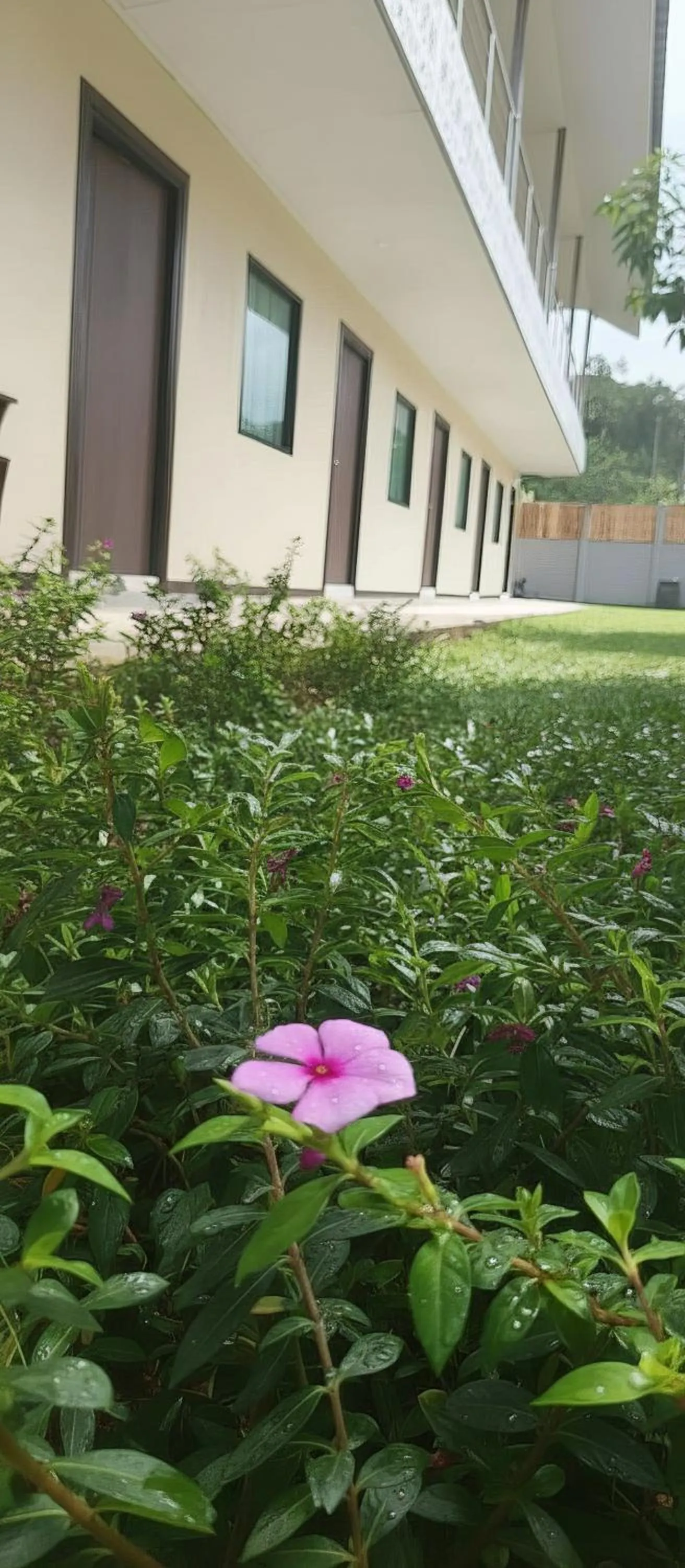 Property building in Ko Lanta Hotels and Working Space