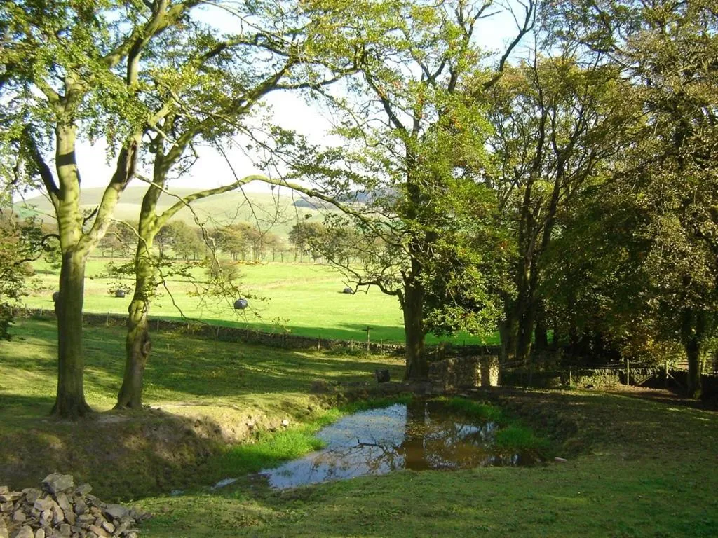 View (from property/room) in Rushop Hall