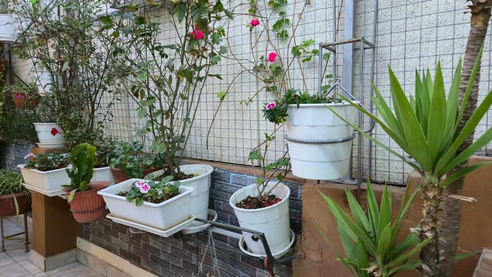 Hotel Virgen del Carmen - Huaraz