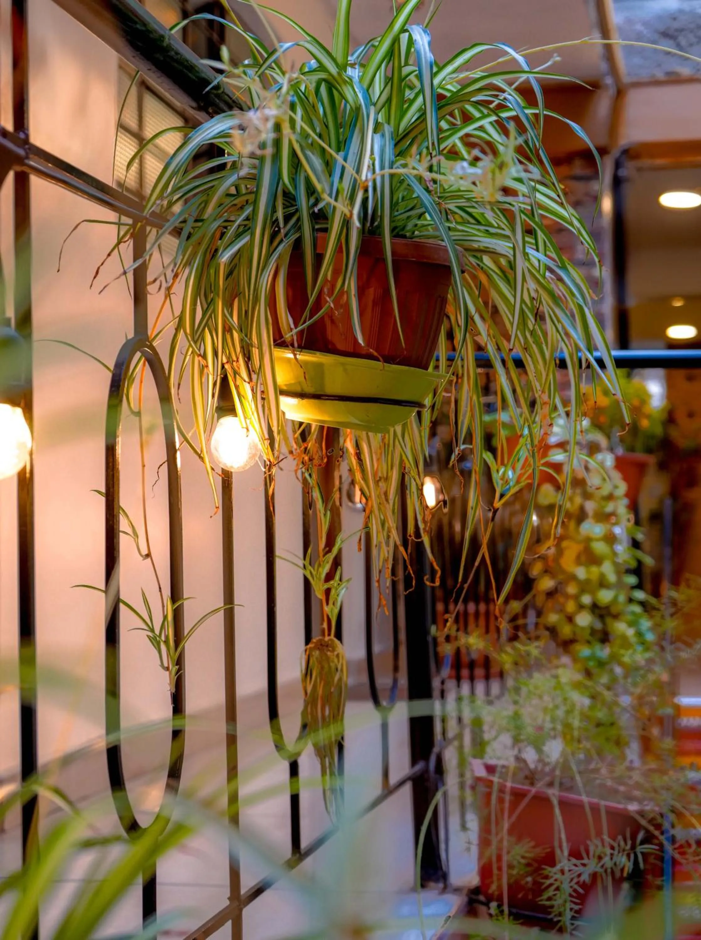 Hotel Virgen del Carmen - Huaraz