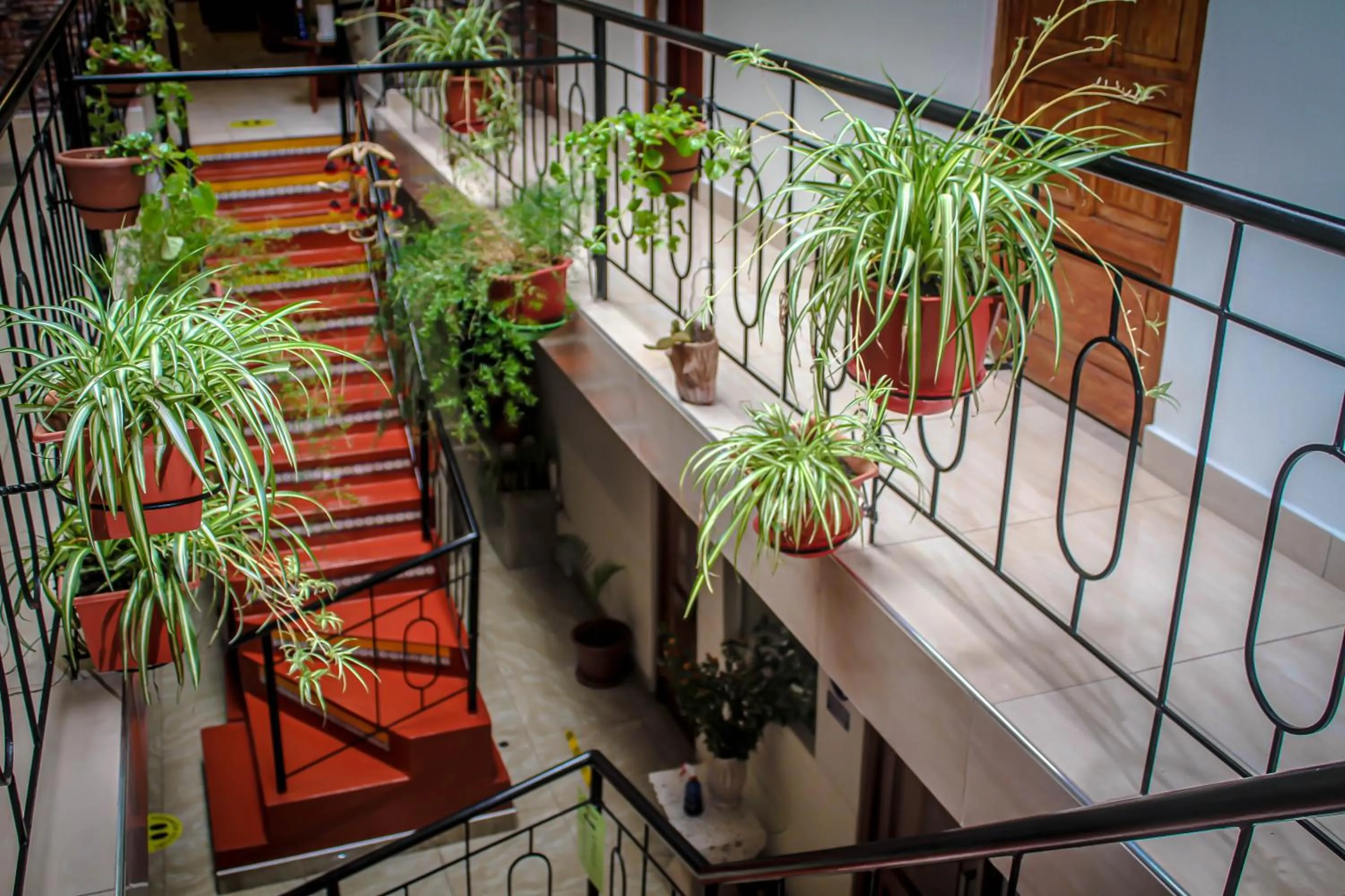 Hotel Virgen del Carmen - Huaraz