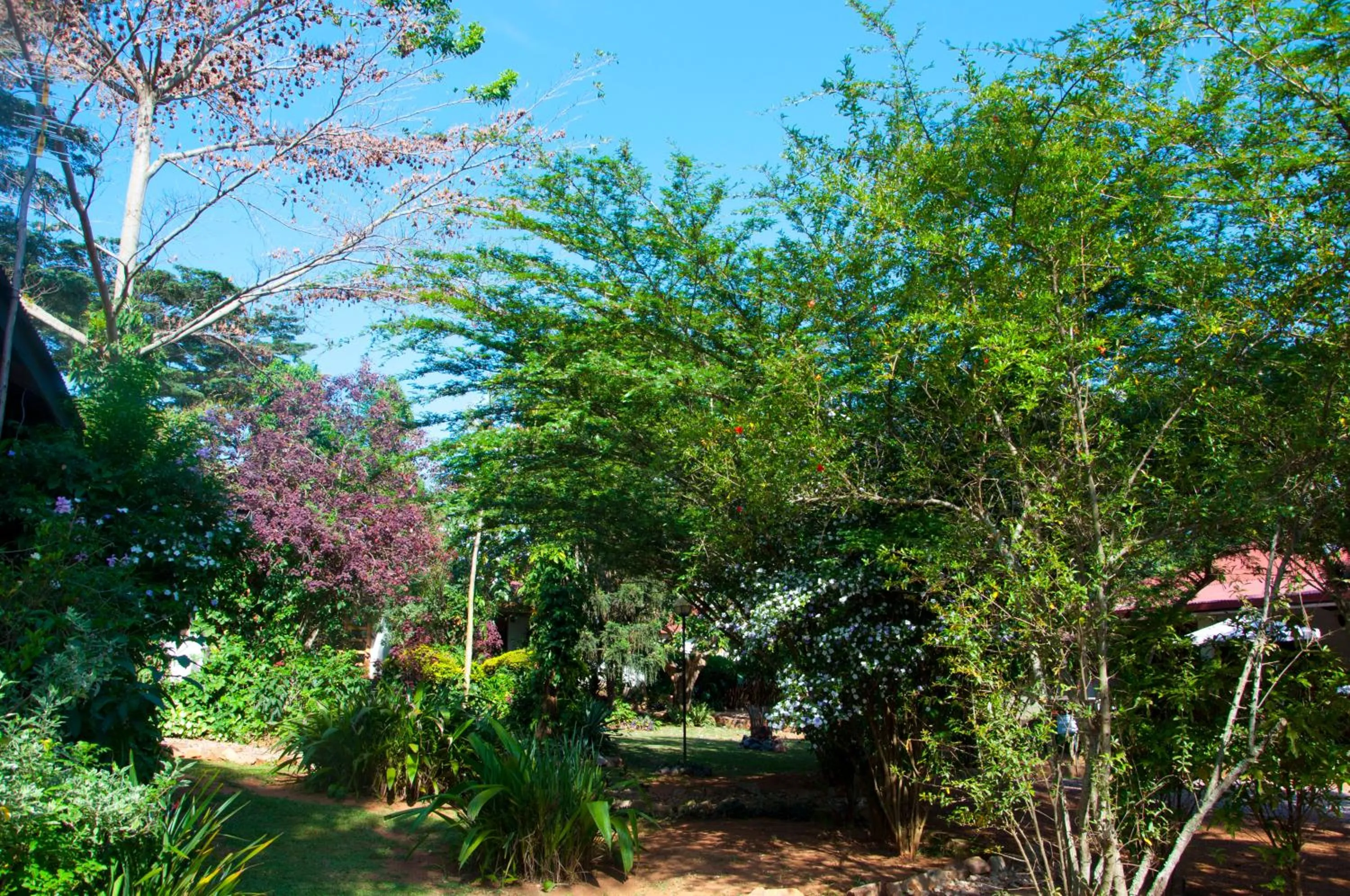 Property building in Gately Inn Entebbe