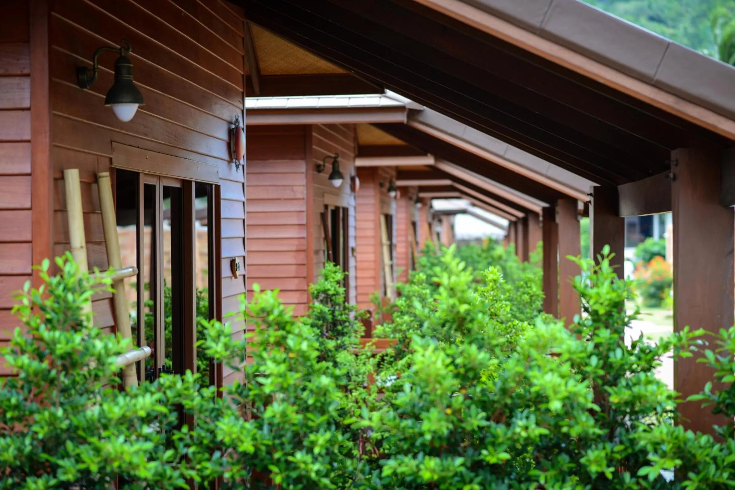 Balcony/Terrace in PingChan Koh Phangan Beachfront Resort