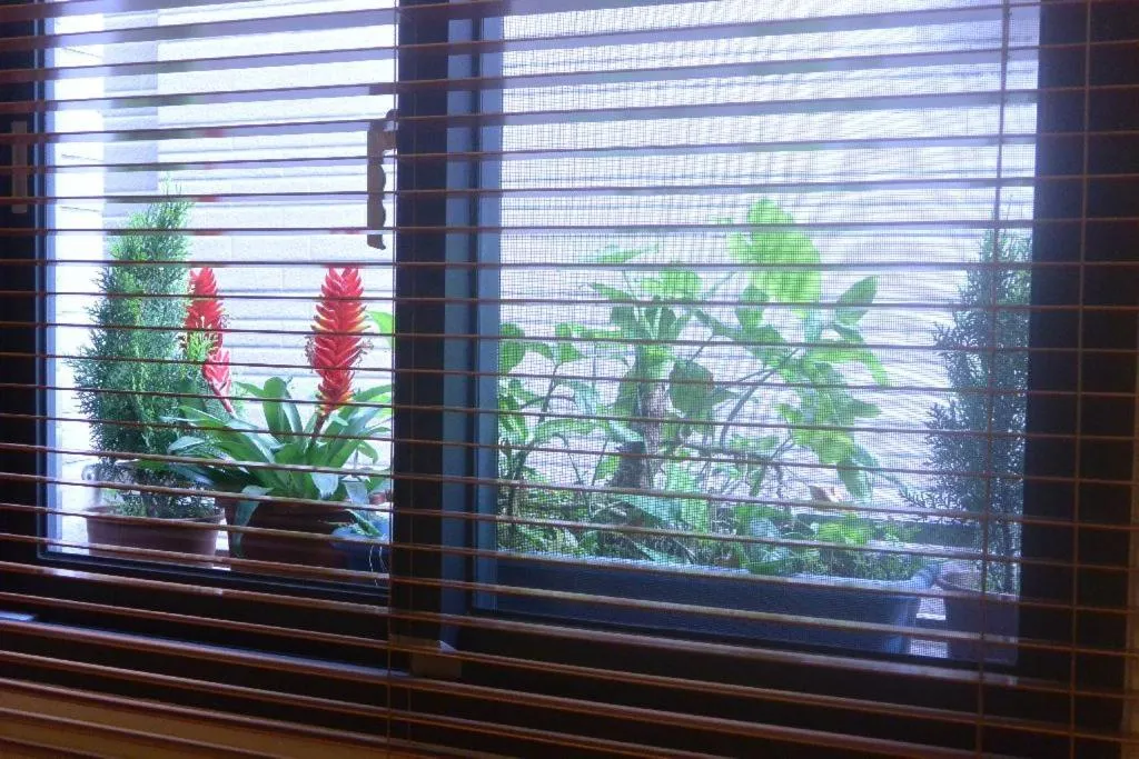 Jiaoxi Song Tian B&B