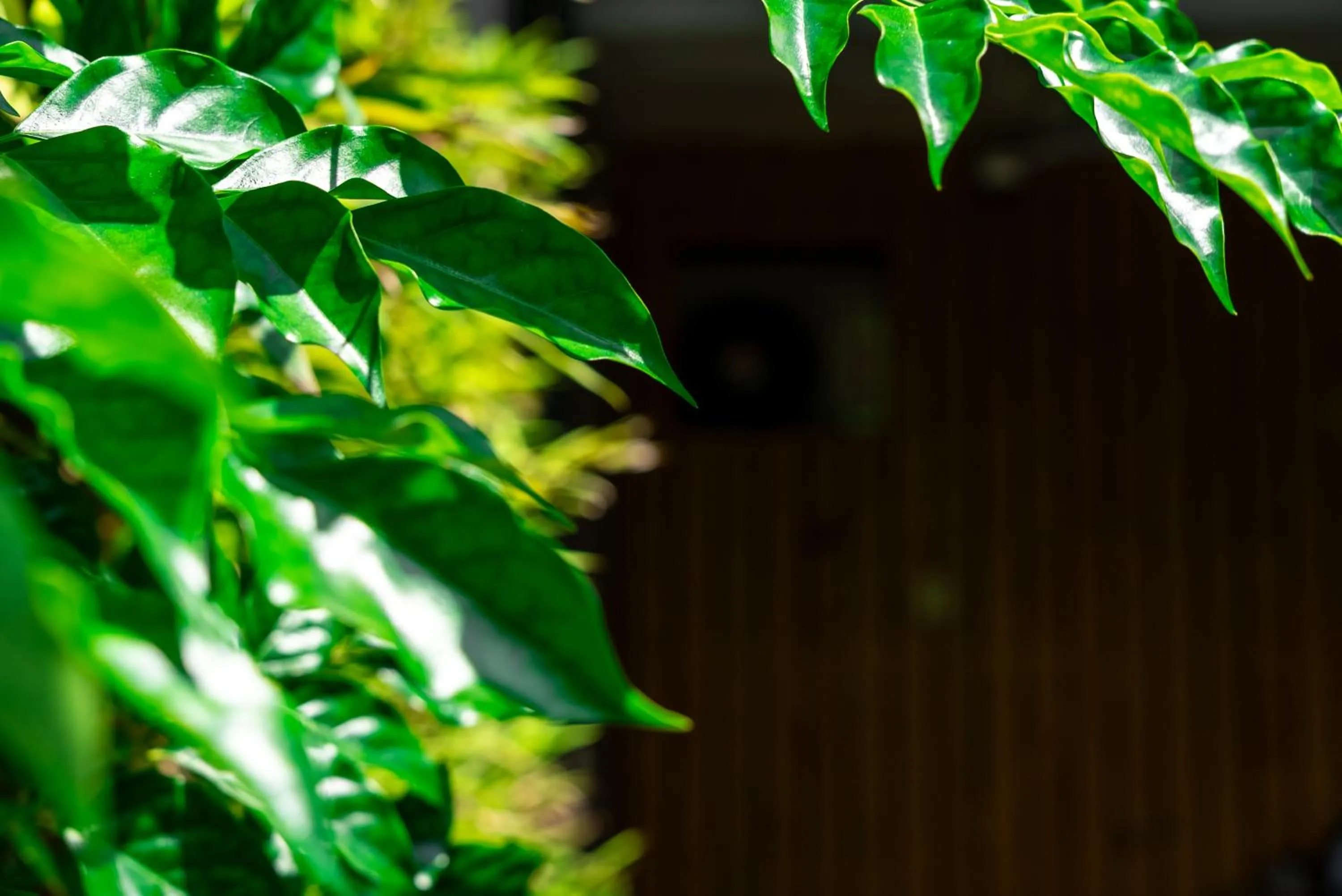 Property building in Jiaoxi Song Tian B&B