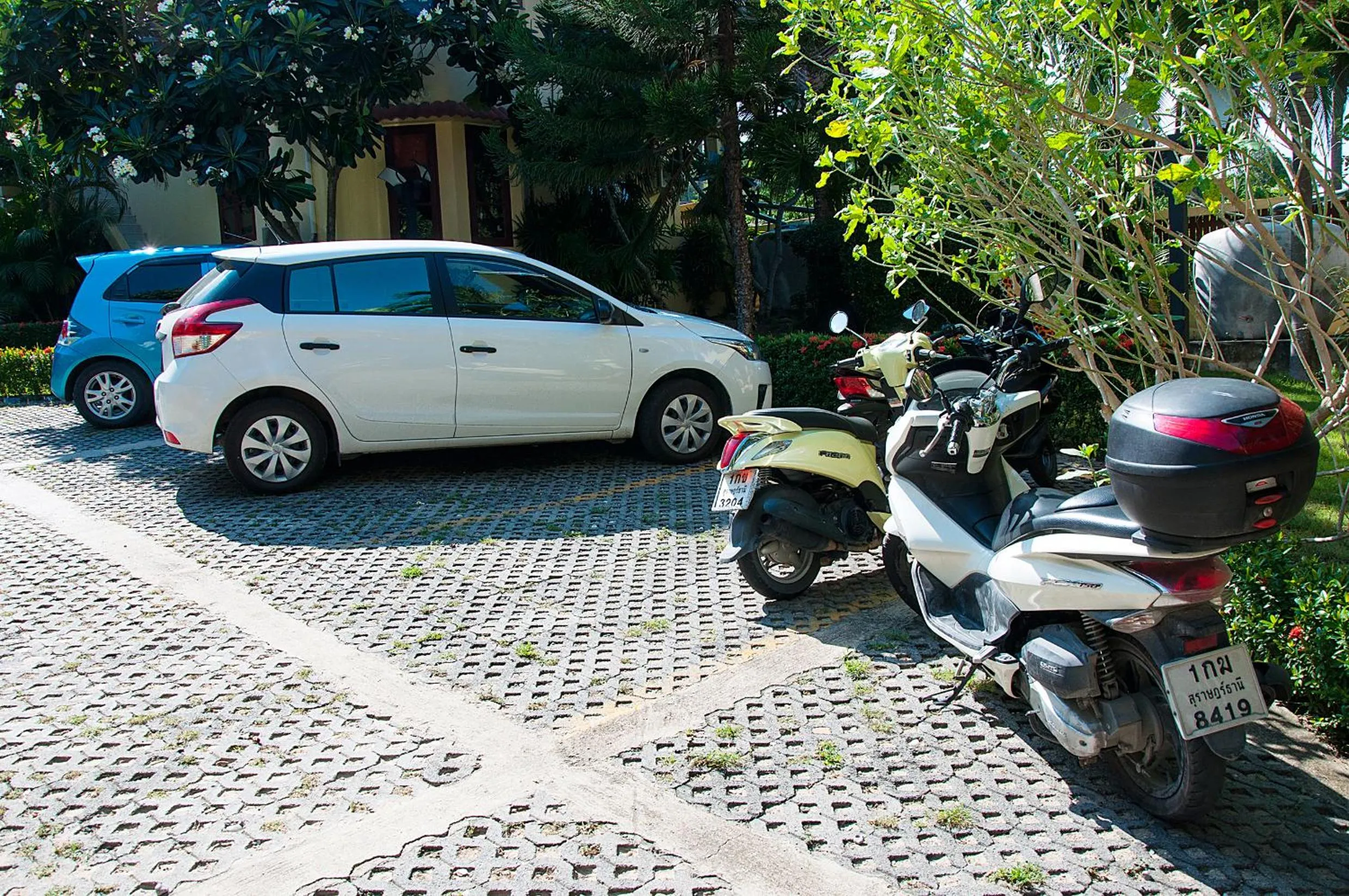 Area and facilities in Samui Green Life