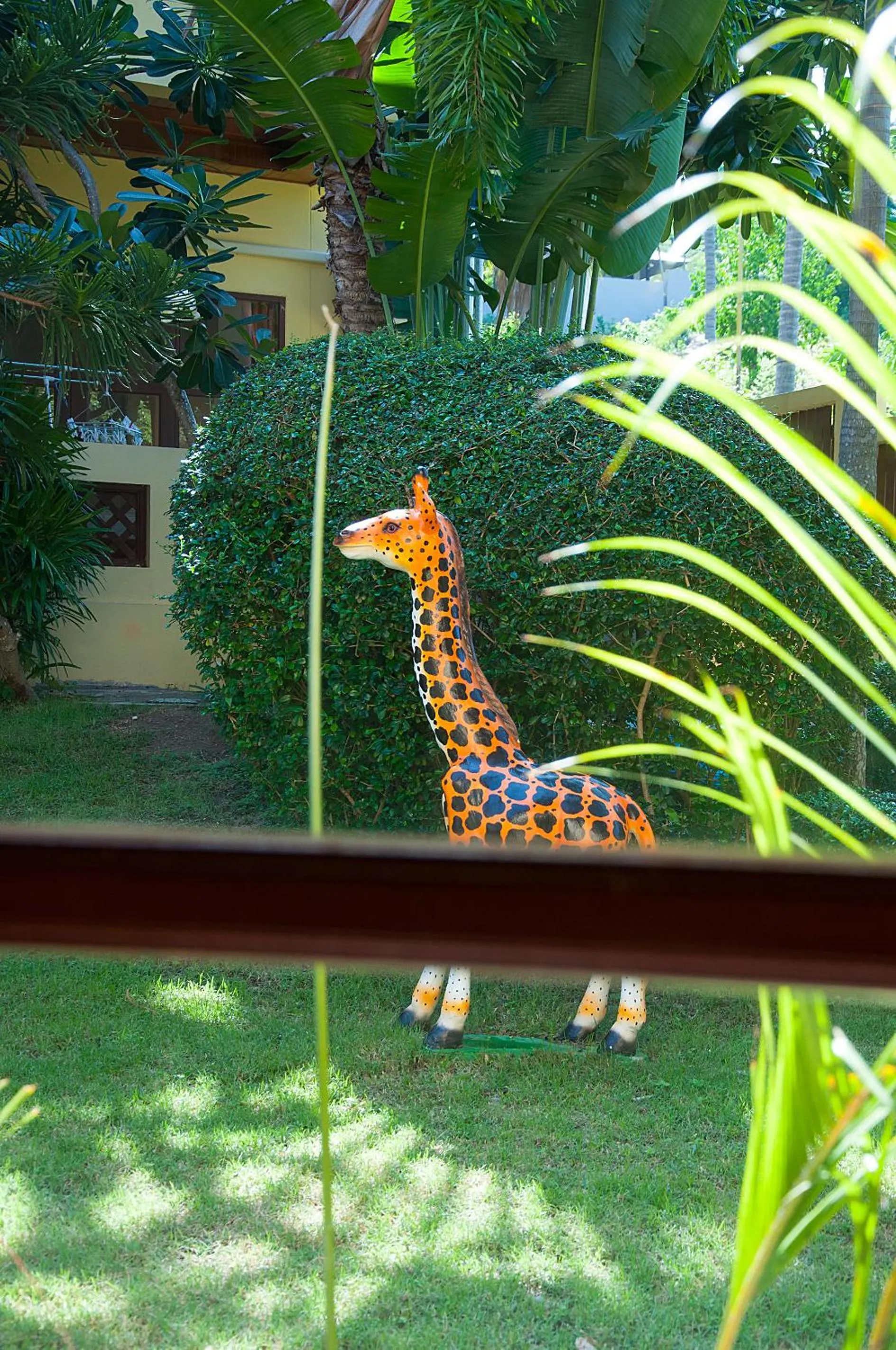 Garden view in Samui Green Life