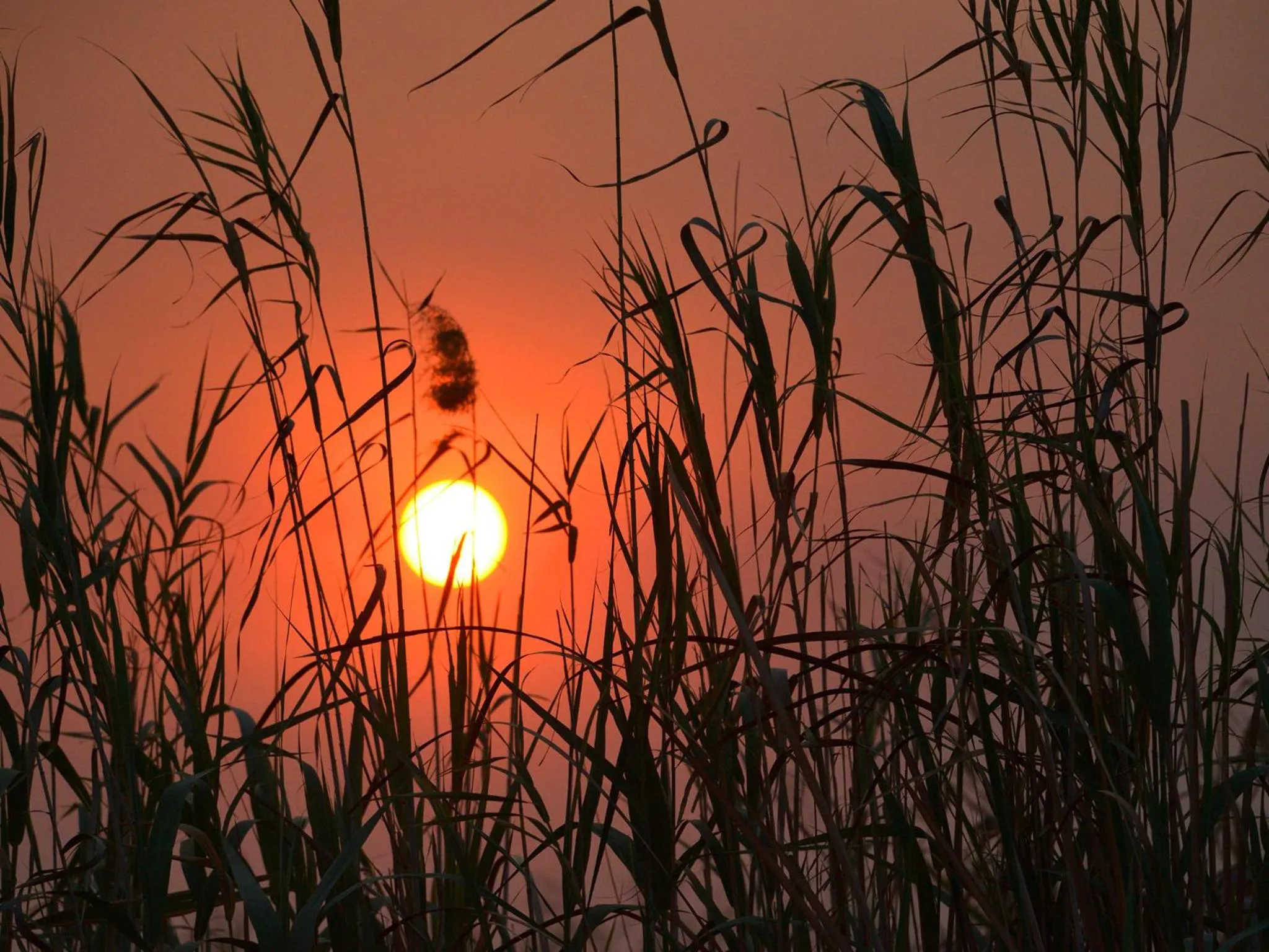 Natural landscape in Gondwana Namushasha River Lodge
