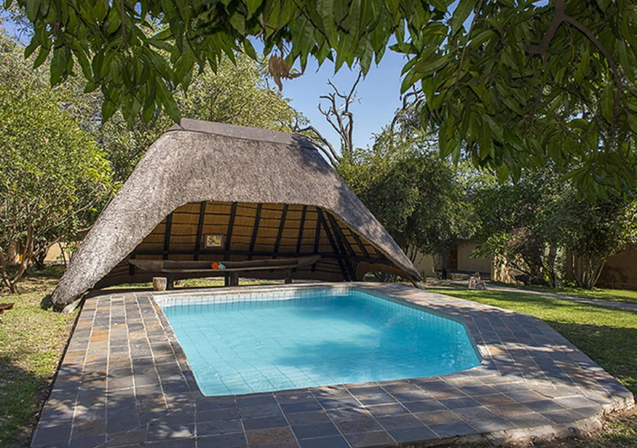 Swimming pool in Gondwana Namushasha River Lodge