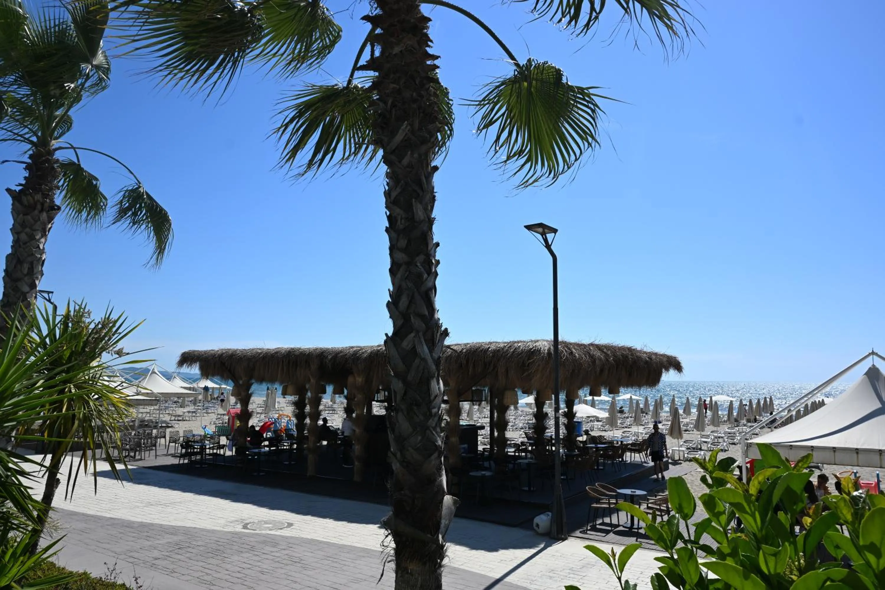 Luxury Premium Finese