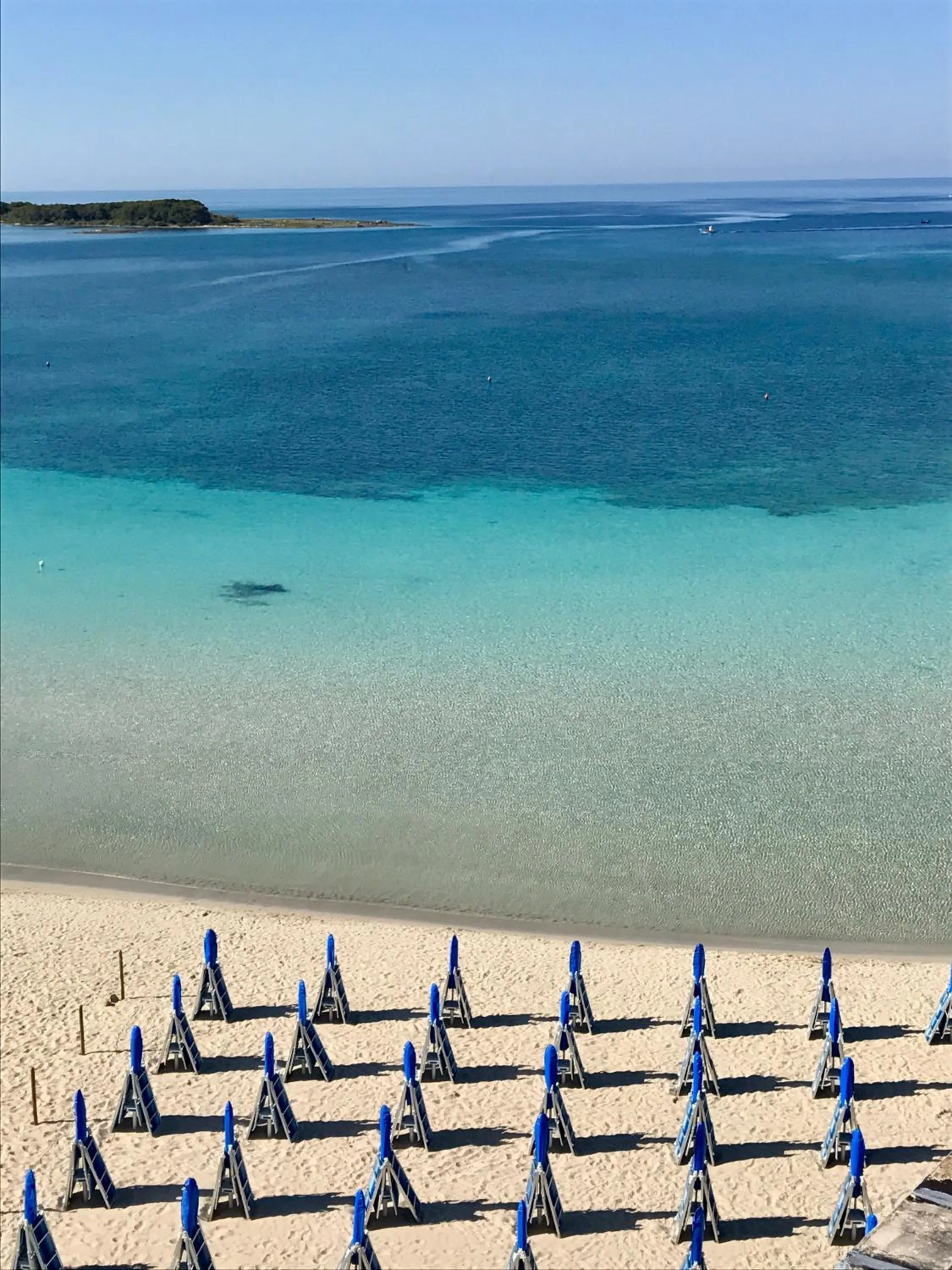 Natural landscape in Hotel Blu