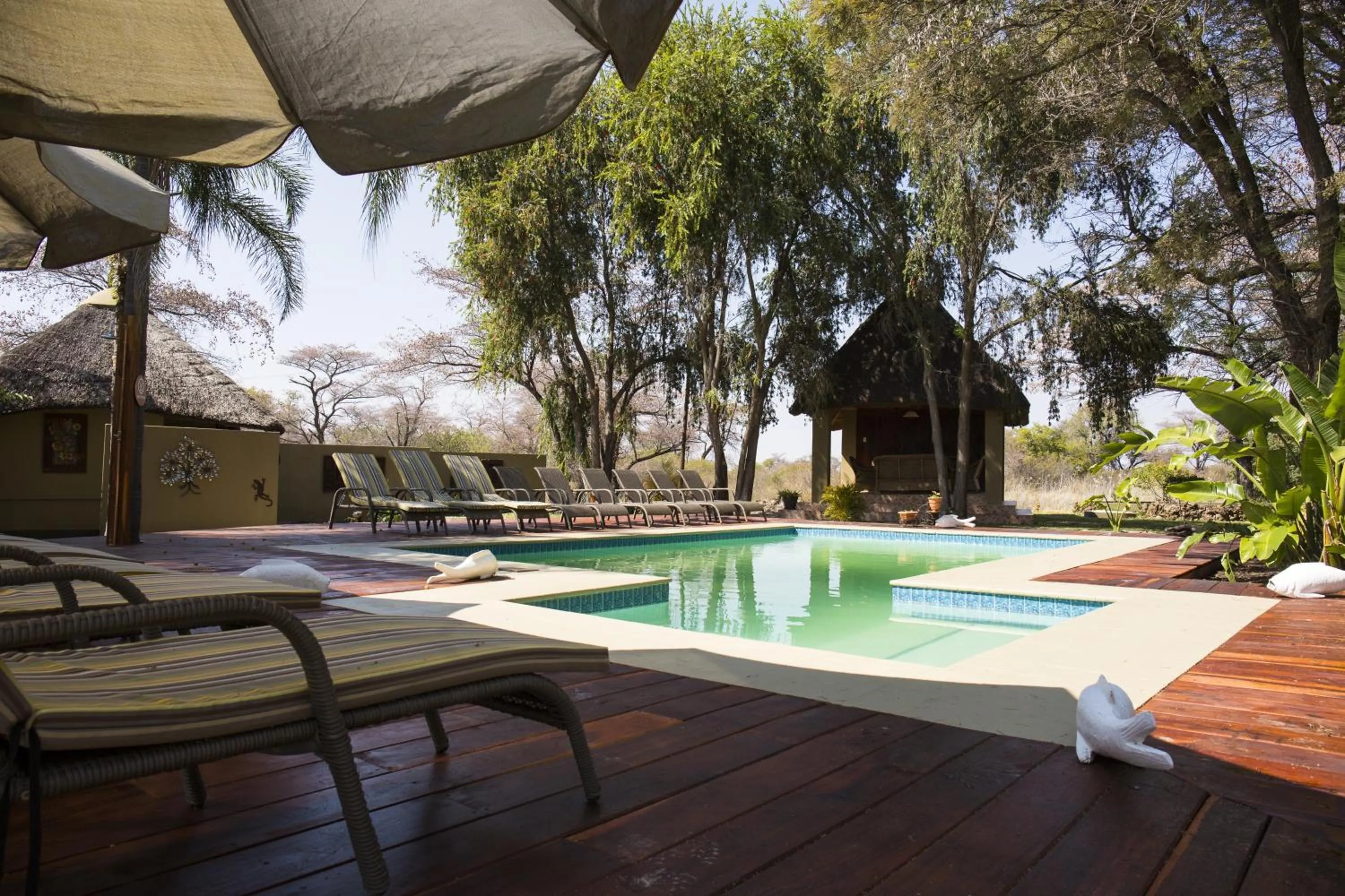 Swimming pool in Gondwana Hakusembe River Lodge