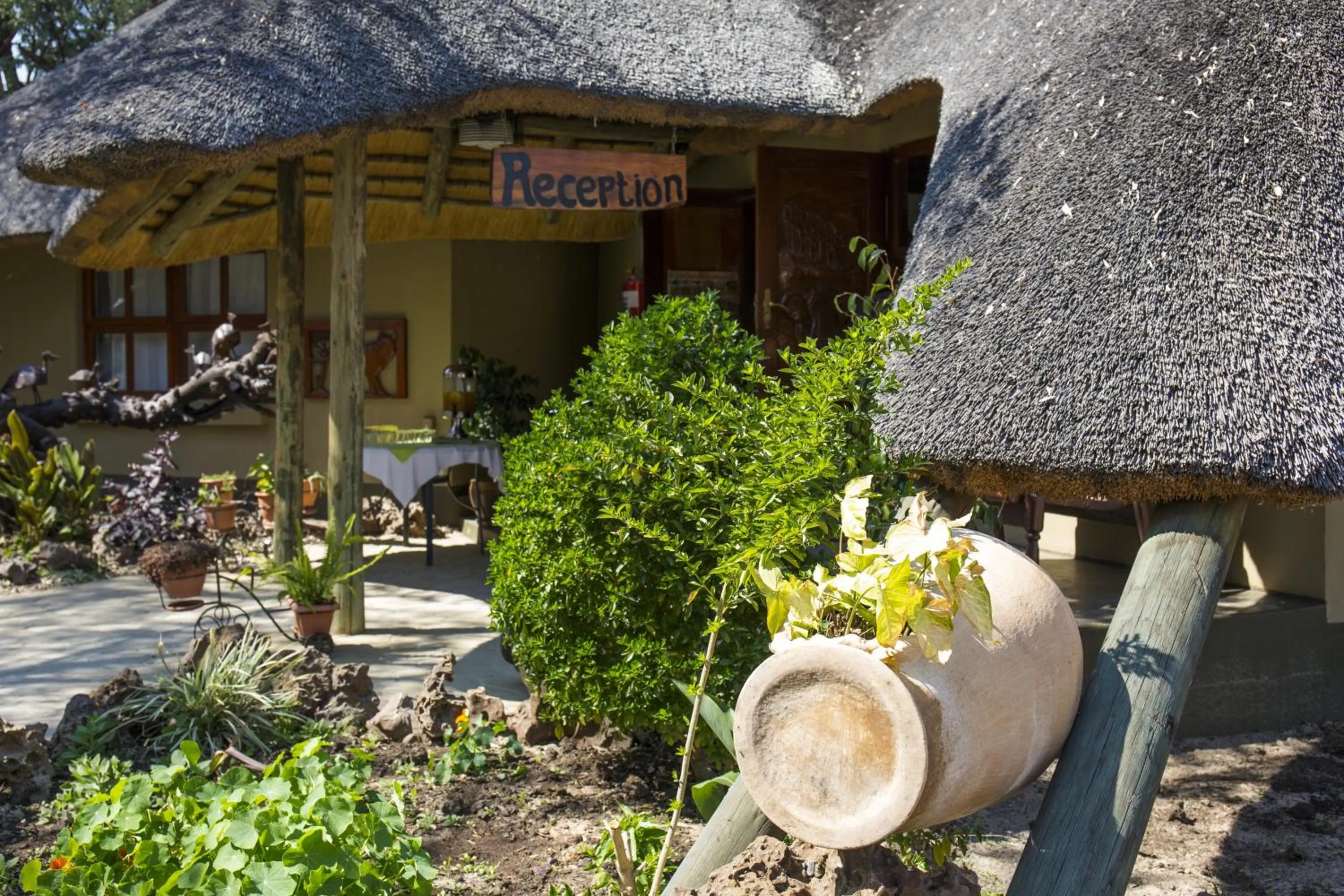Restaurant/places to eat in Gondwana Hakusembe River Lodge