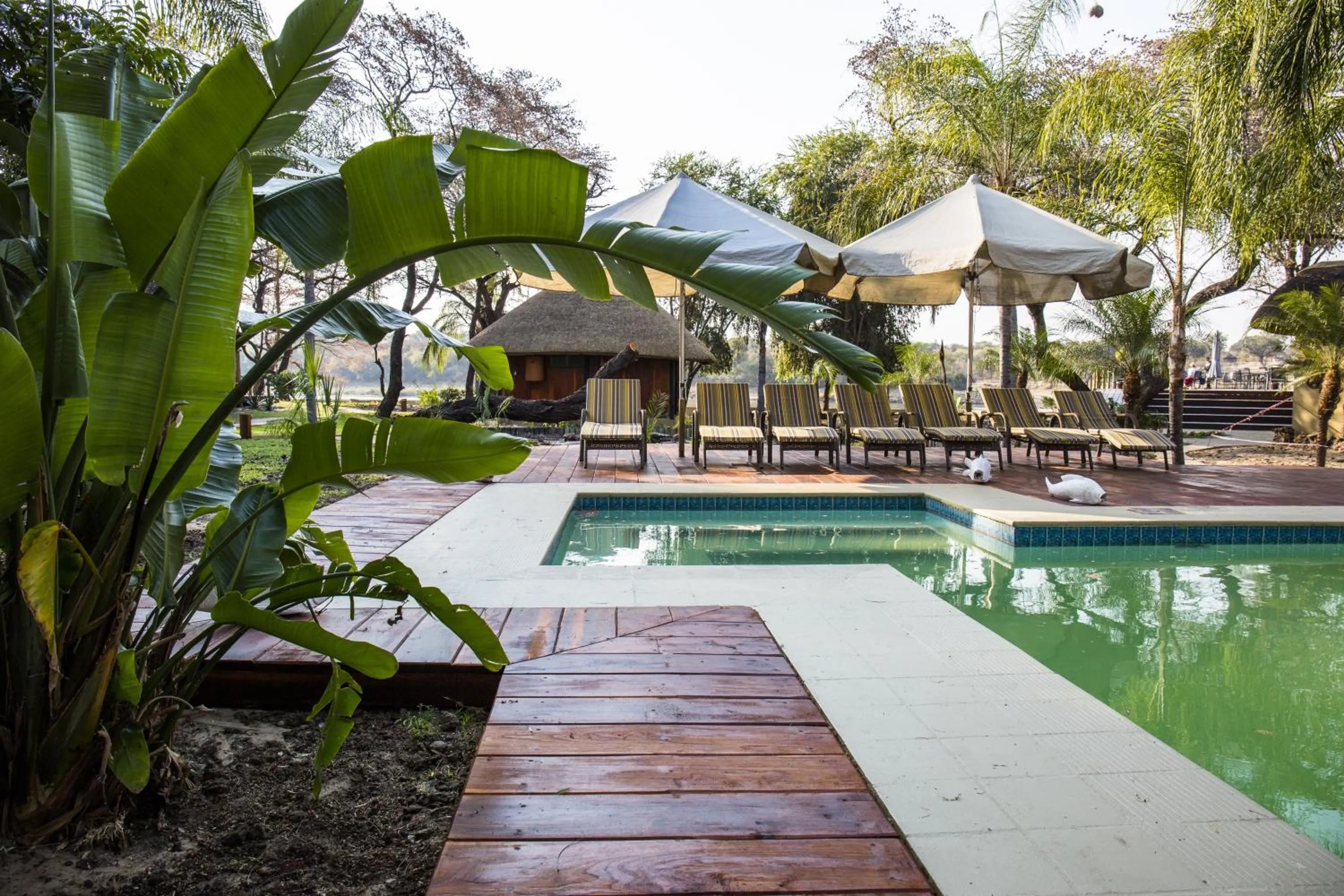 Swimming pool in Gondwana Hakusembe River Lodge
