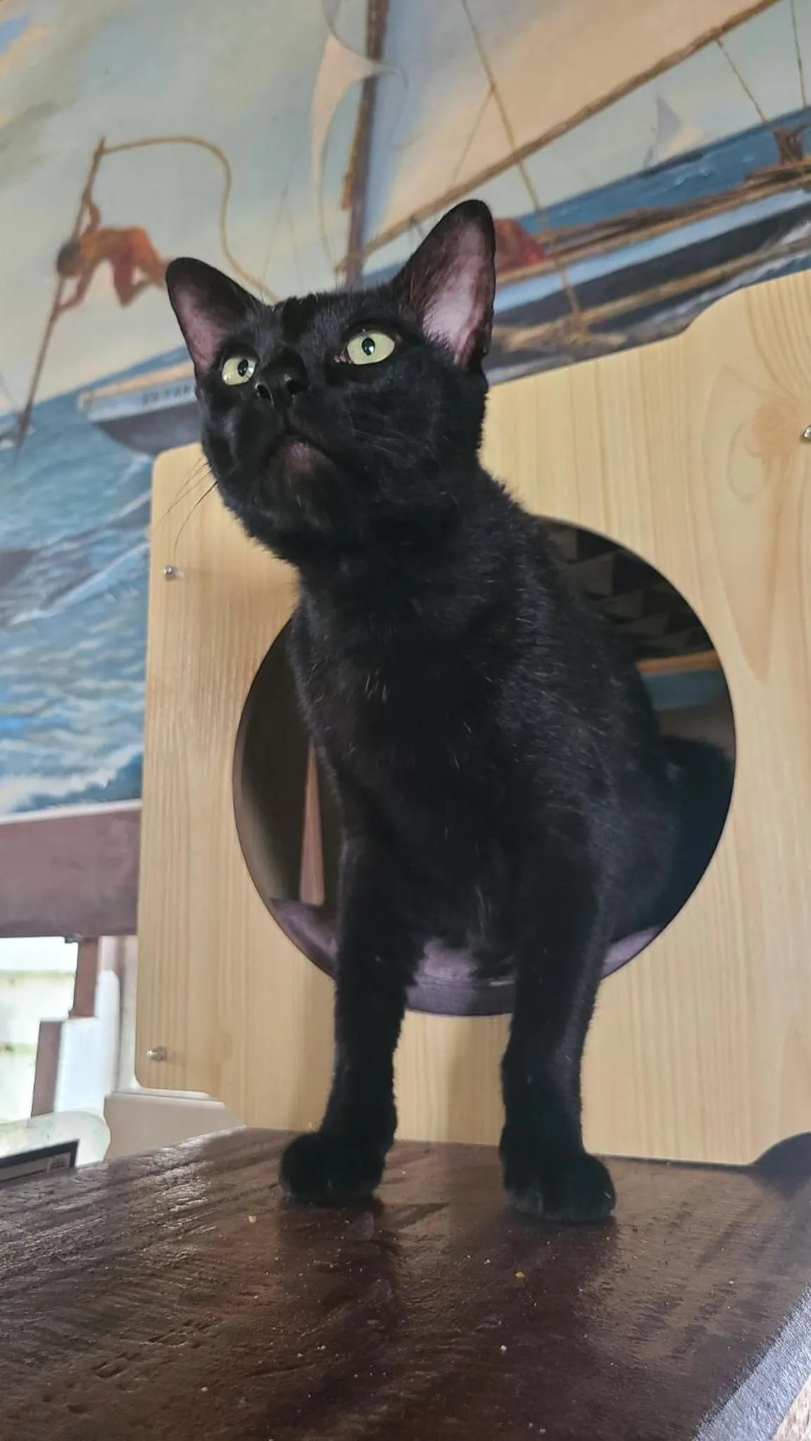 Property building in Paseo Del Mar Seaside Inn