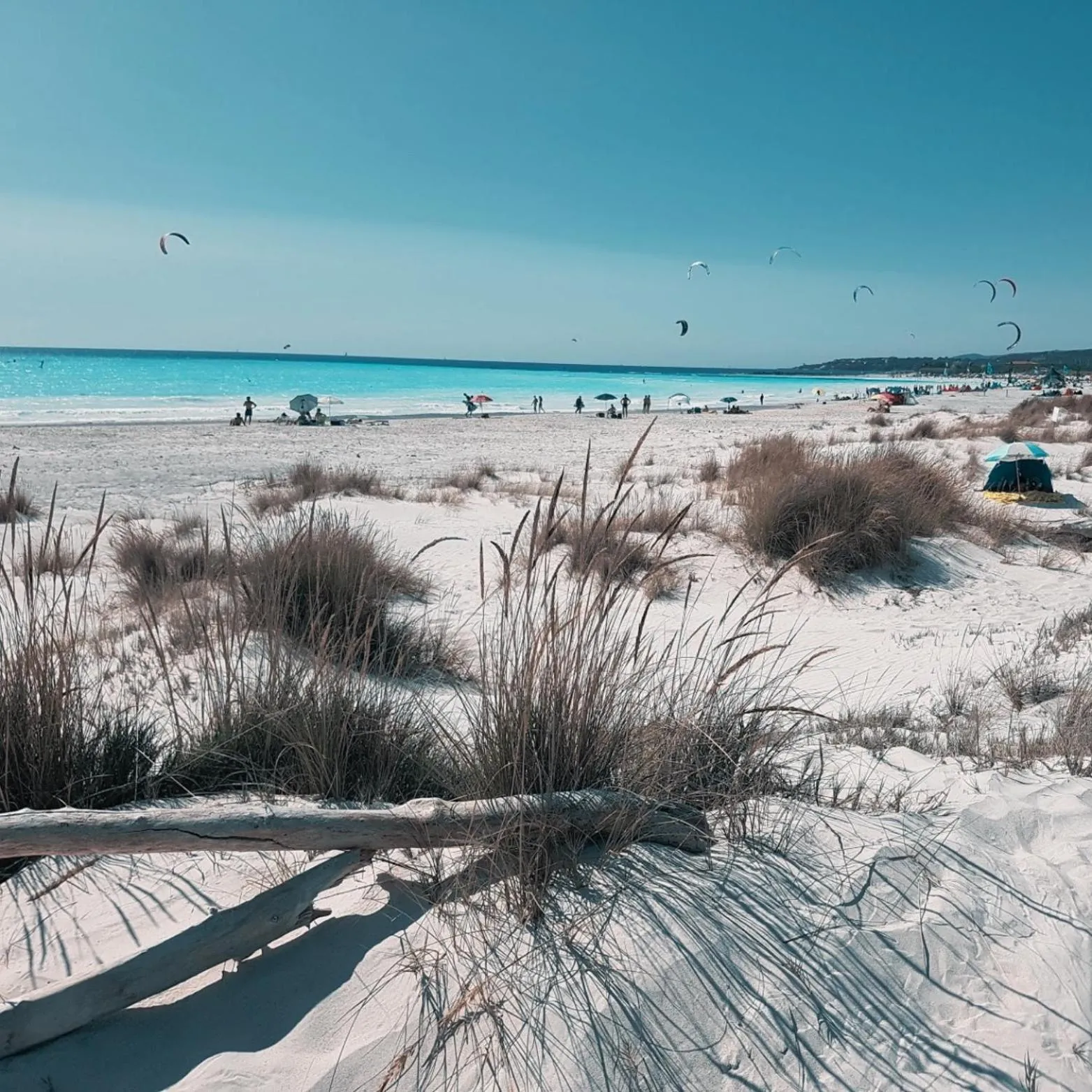 Natural landscape in MORF suites