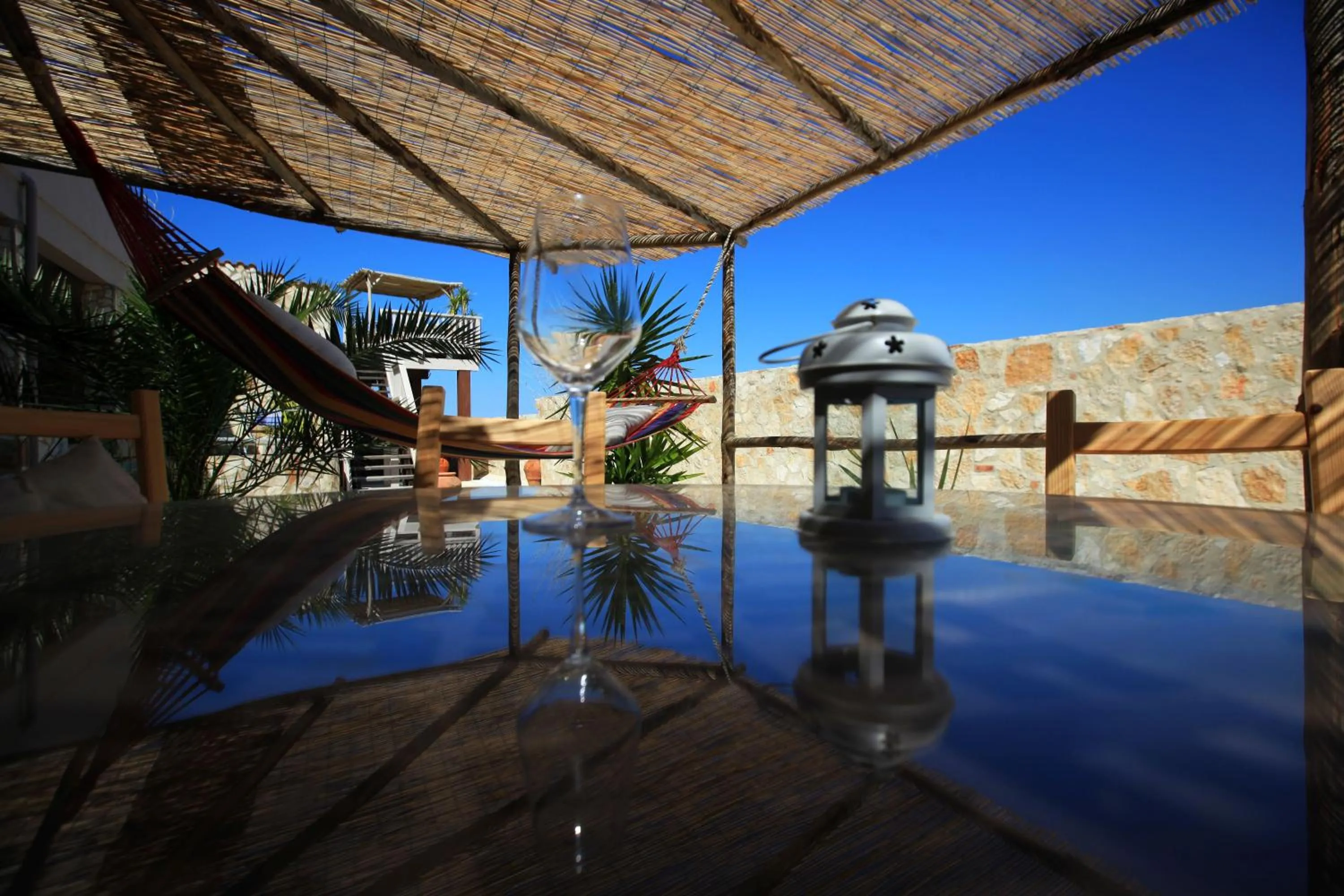 Garden in MORF suites