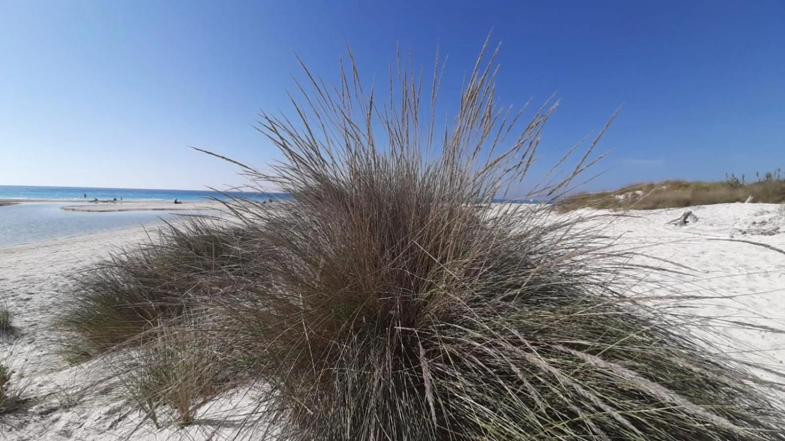 Natural landscape in MORF suites