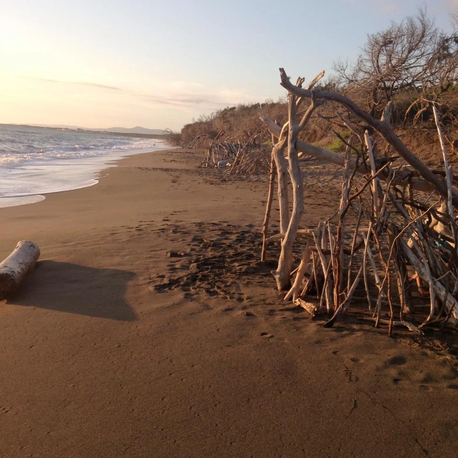 Natural landscape in MORF suites