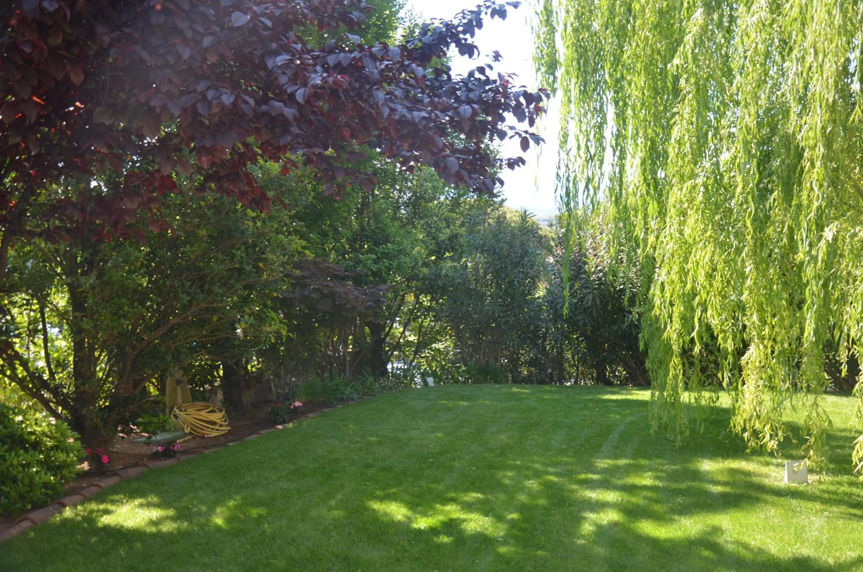 Garden in Asso Bed & Breakfast