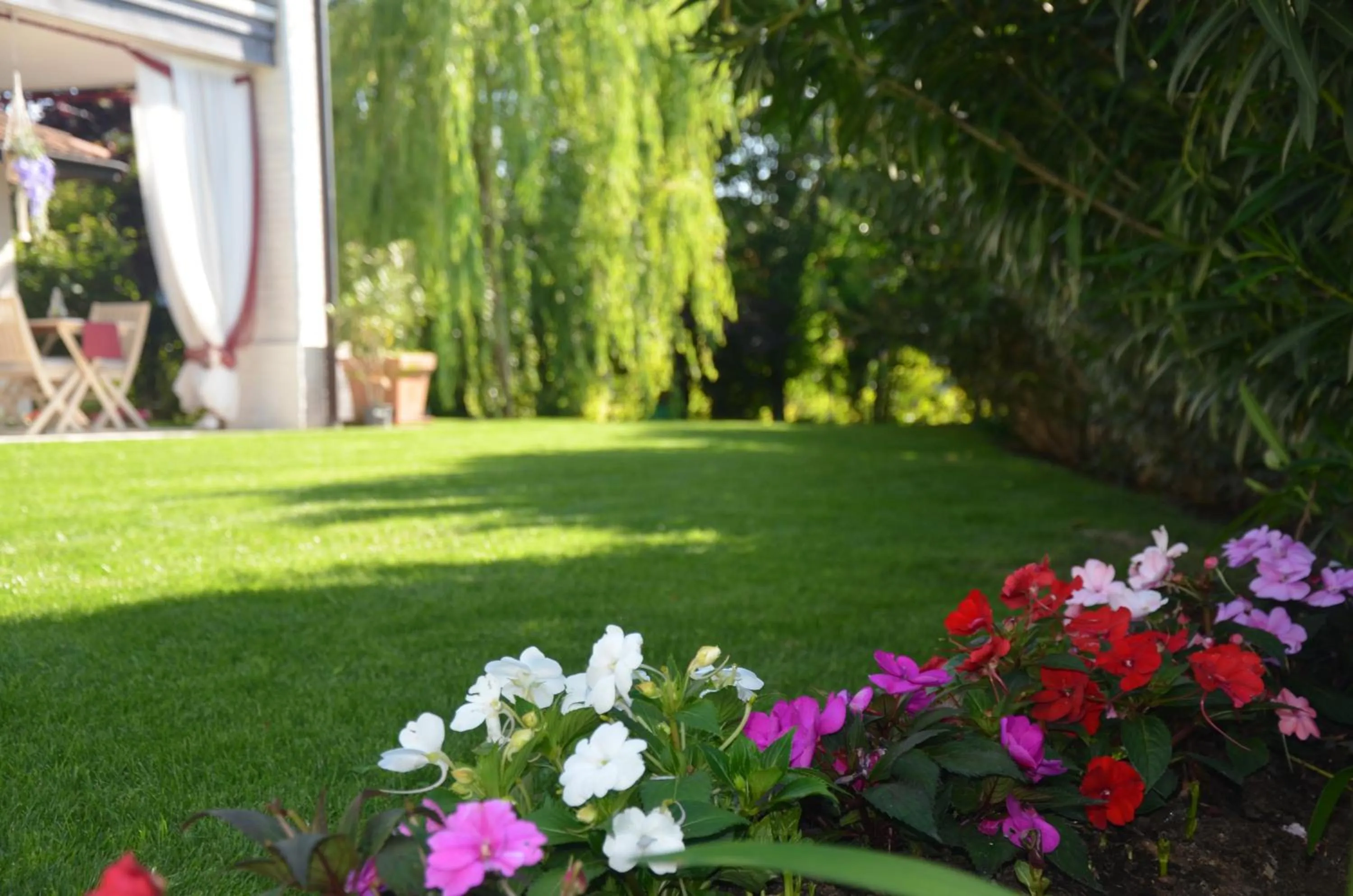 Garden in Asso Bed & Breakfast