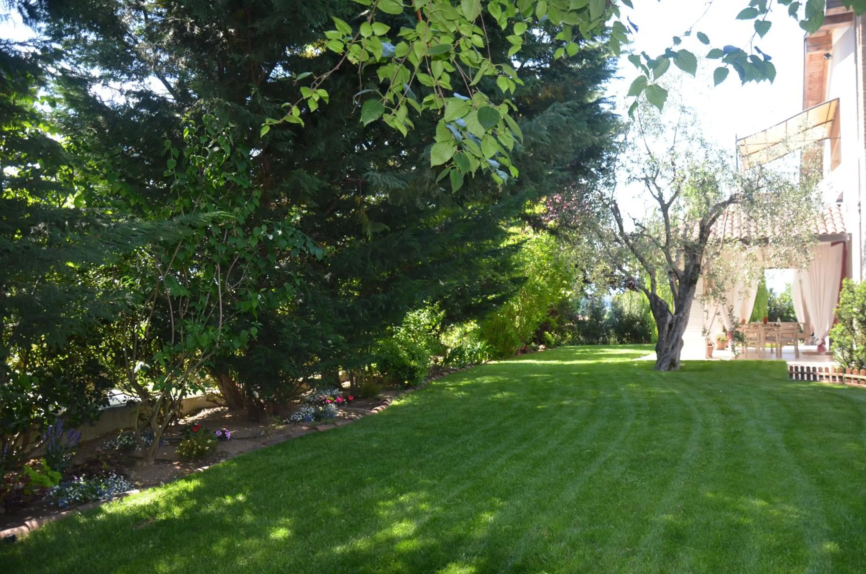 Garden in Asso Bed & Breakfast