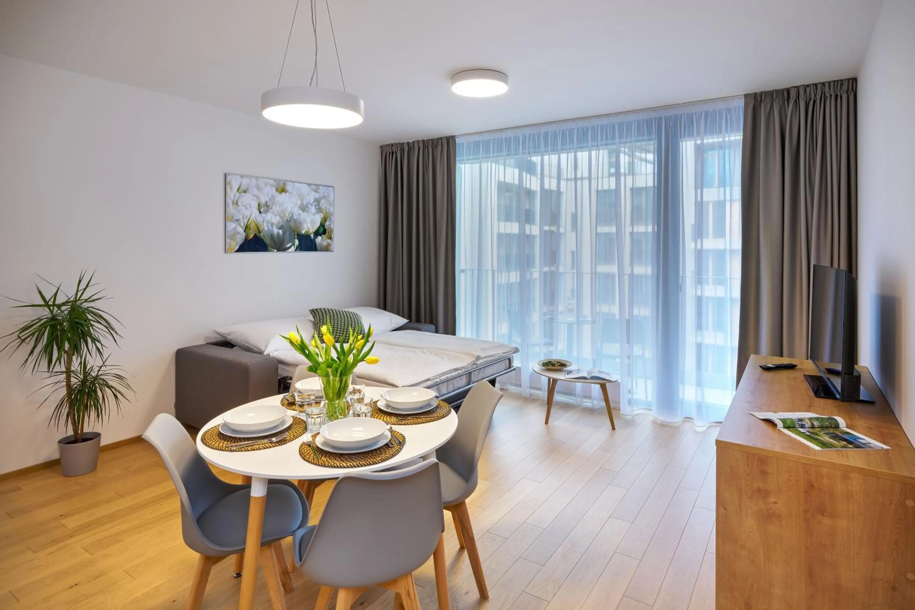 TV and multimedia in DownTown Suites Andel