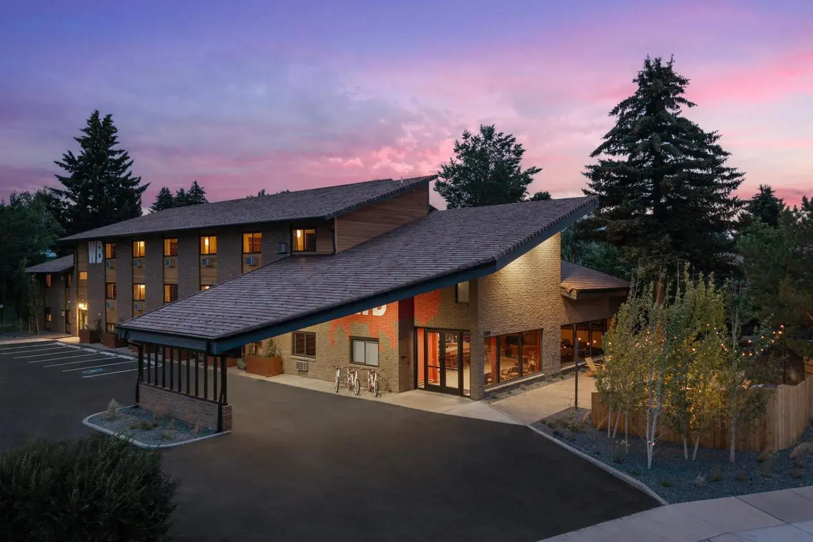 Wandering Buffalo Wandering Buffalo