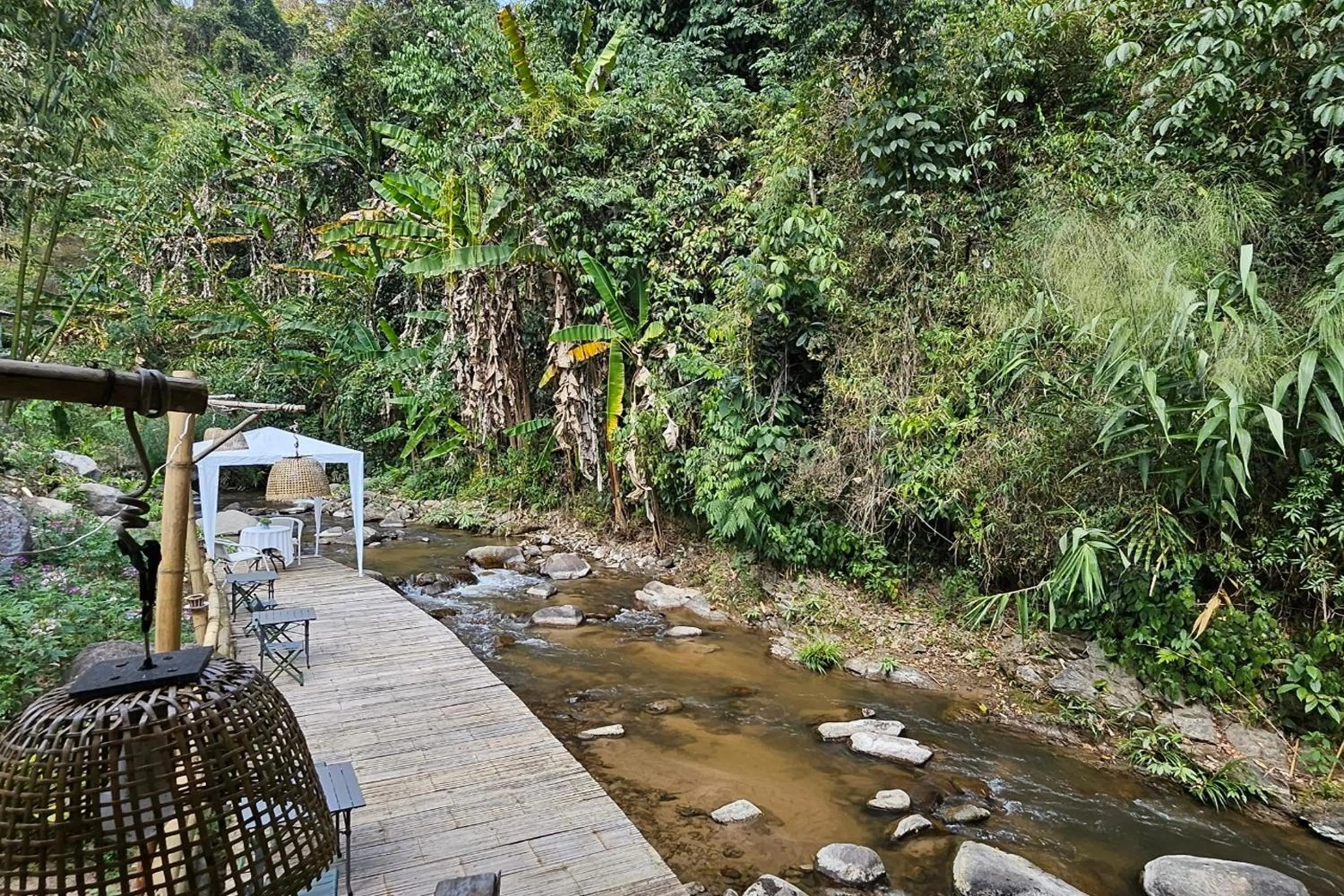 Natural landscape in Mae Mae Home