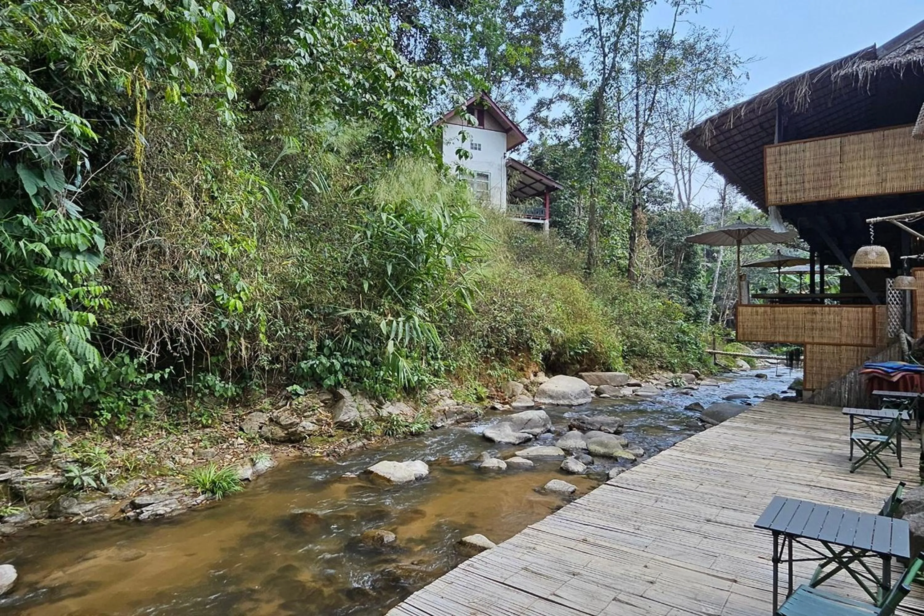 Natural landscape in Mae Mae Home