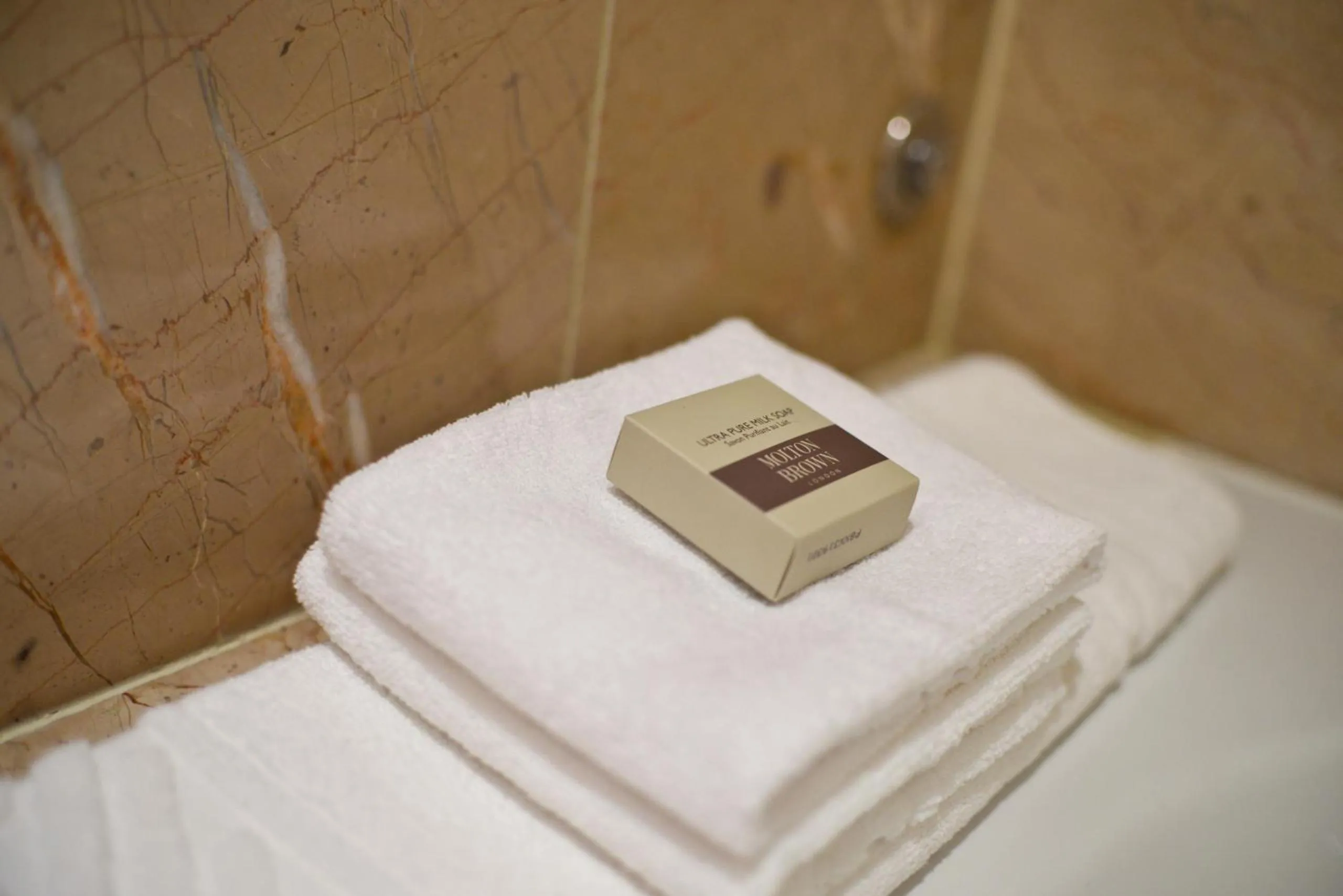 Bathroom, Bed in Panoramic Living