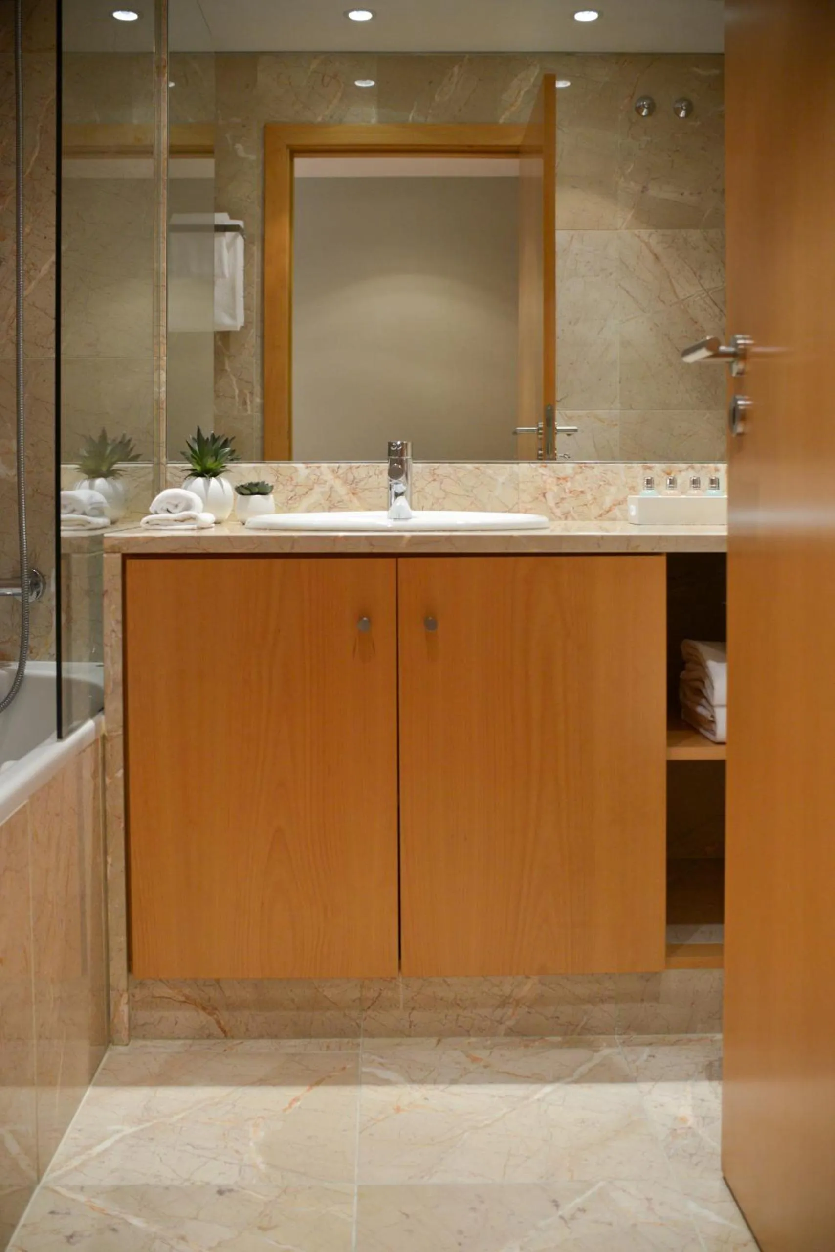 Bathroom in Panoramic Living
